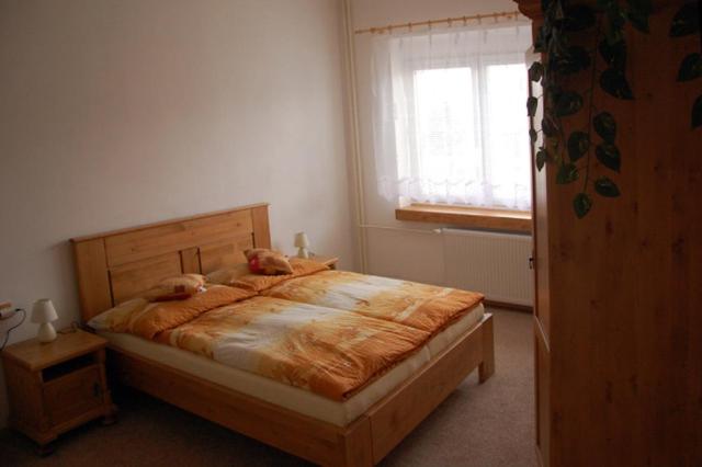 Apartman Horni Adrspach view 5