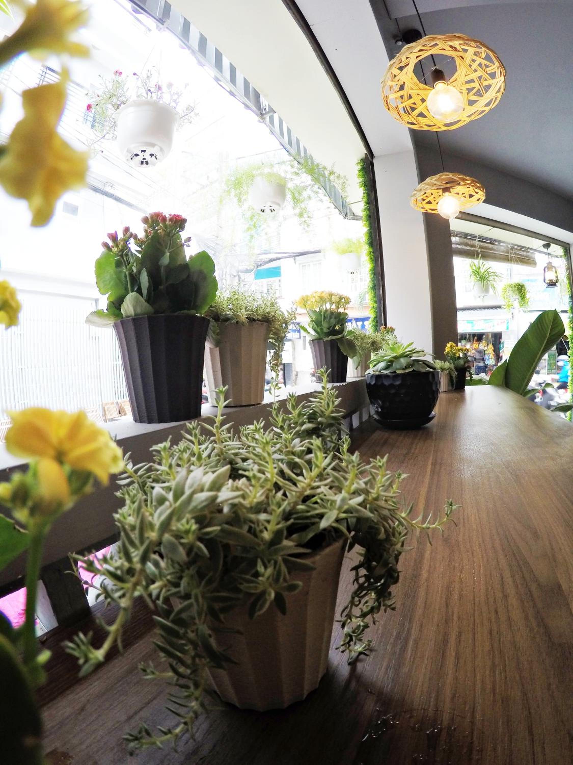 Happy Coffee Guesthouse