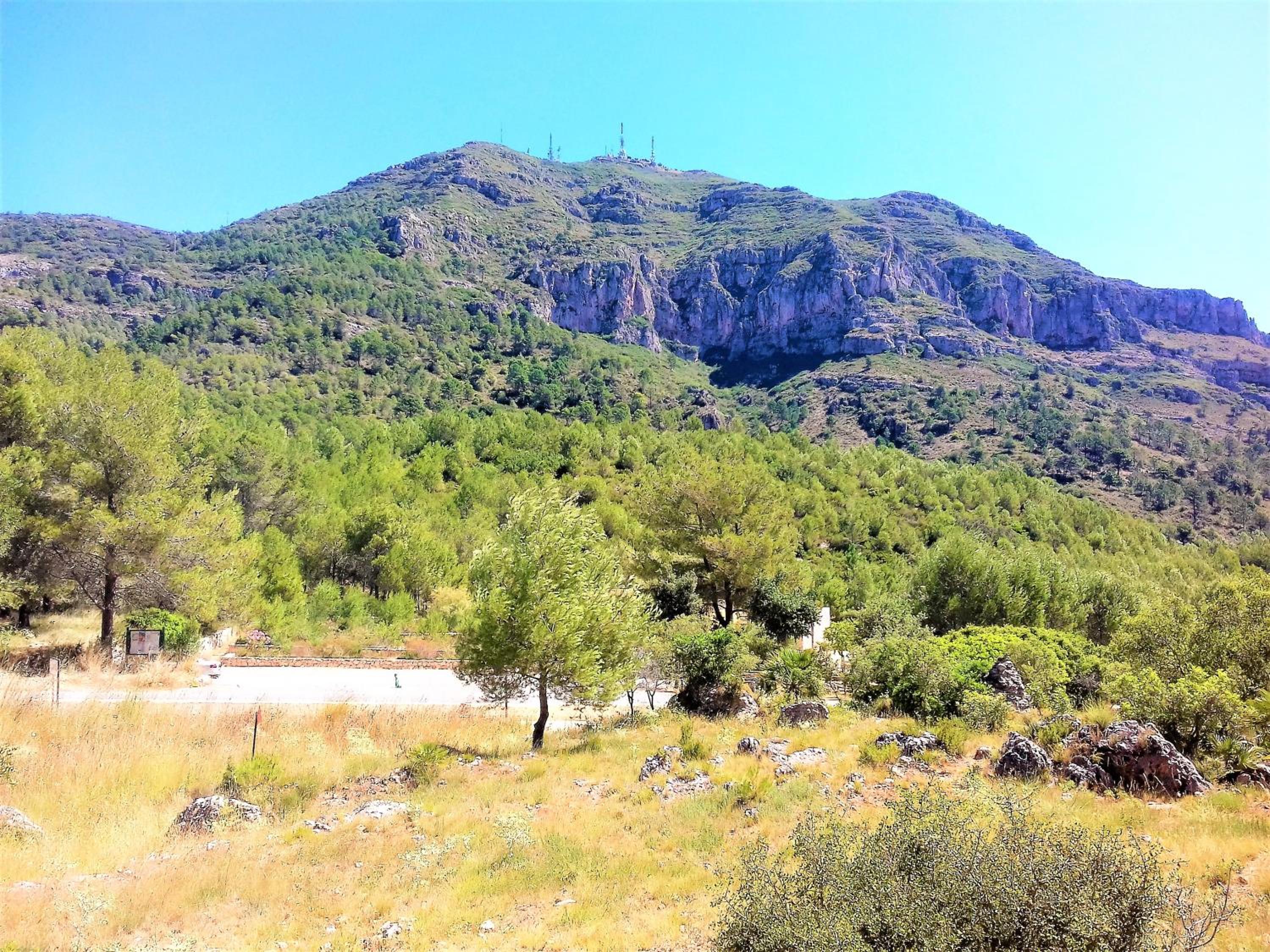 Photo 19