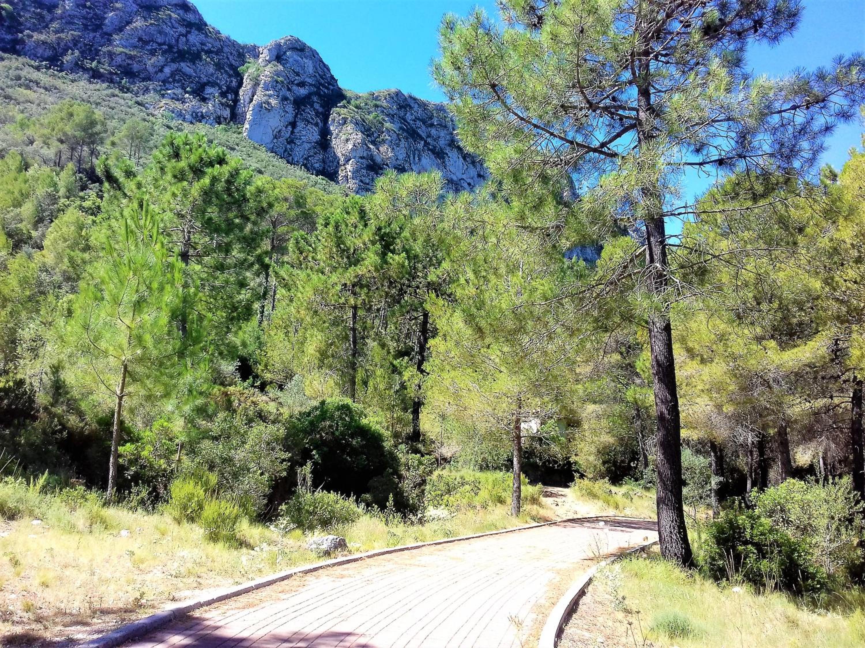 Photo 18