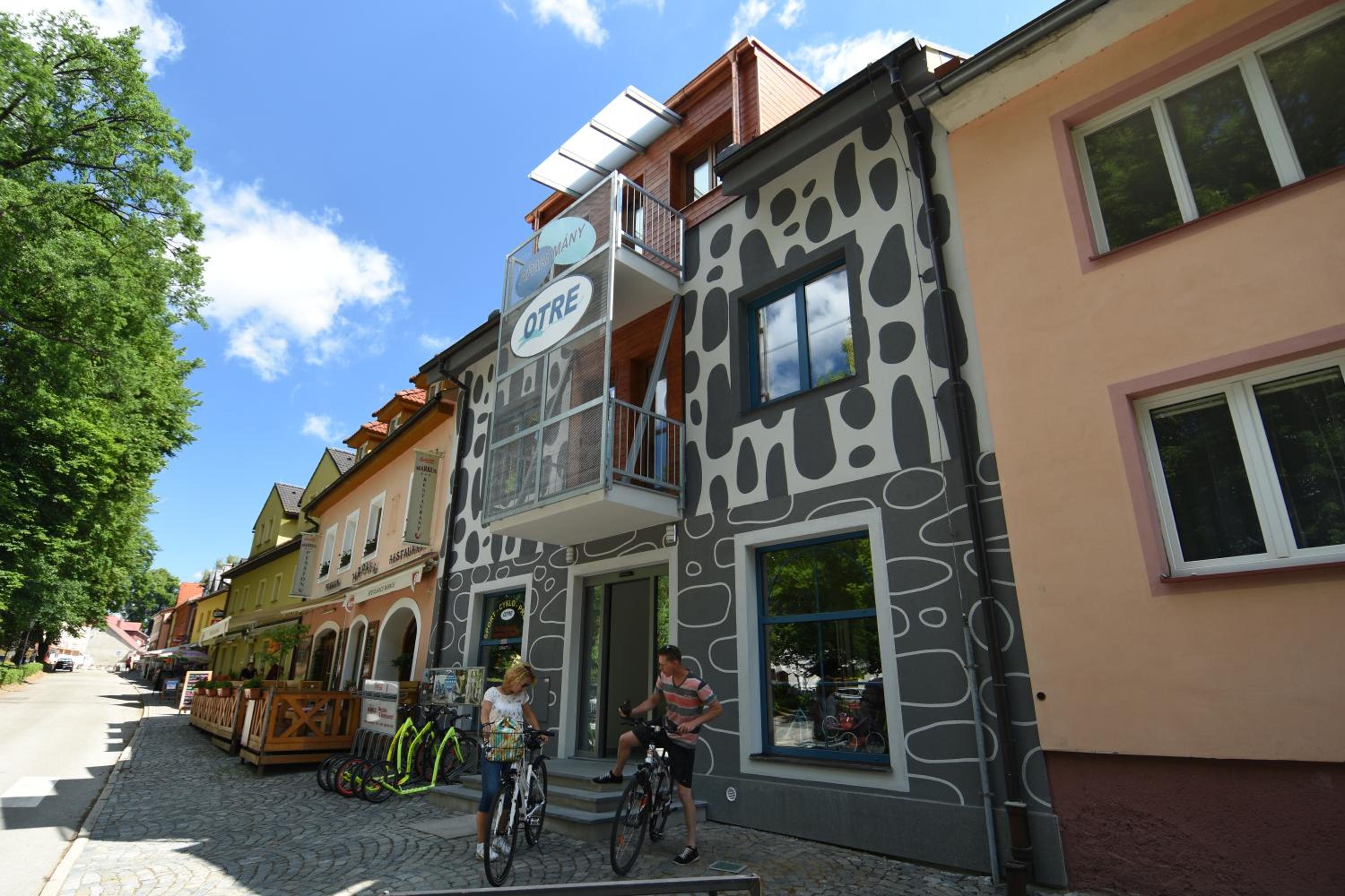 Apartments Otre Frymburk view 2