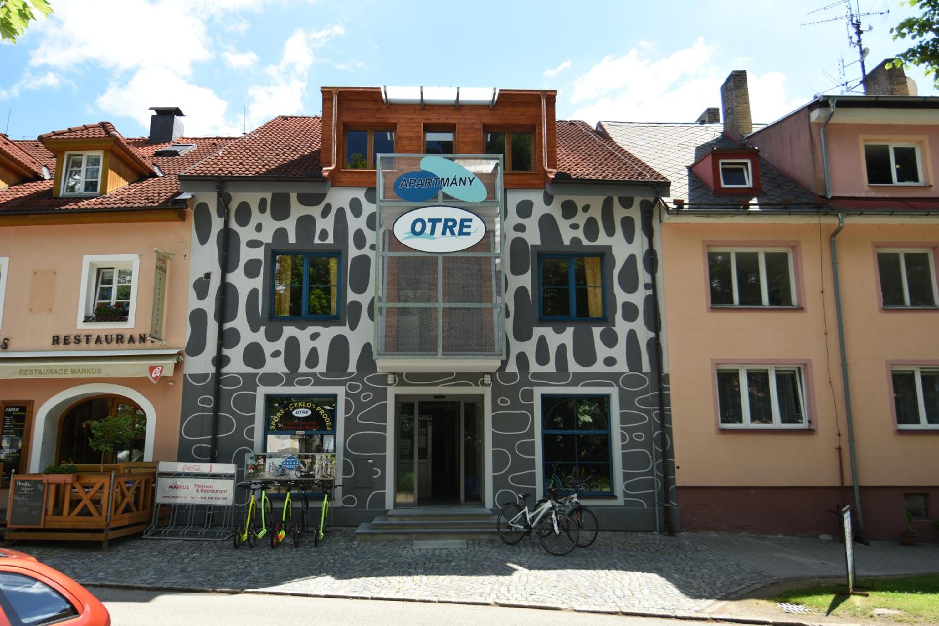 Apartments Otre Frymburk view 5