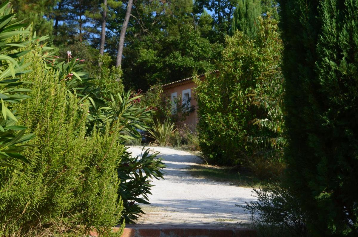 Photo 7