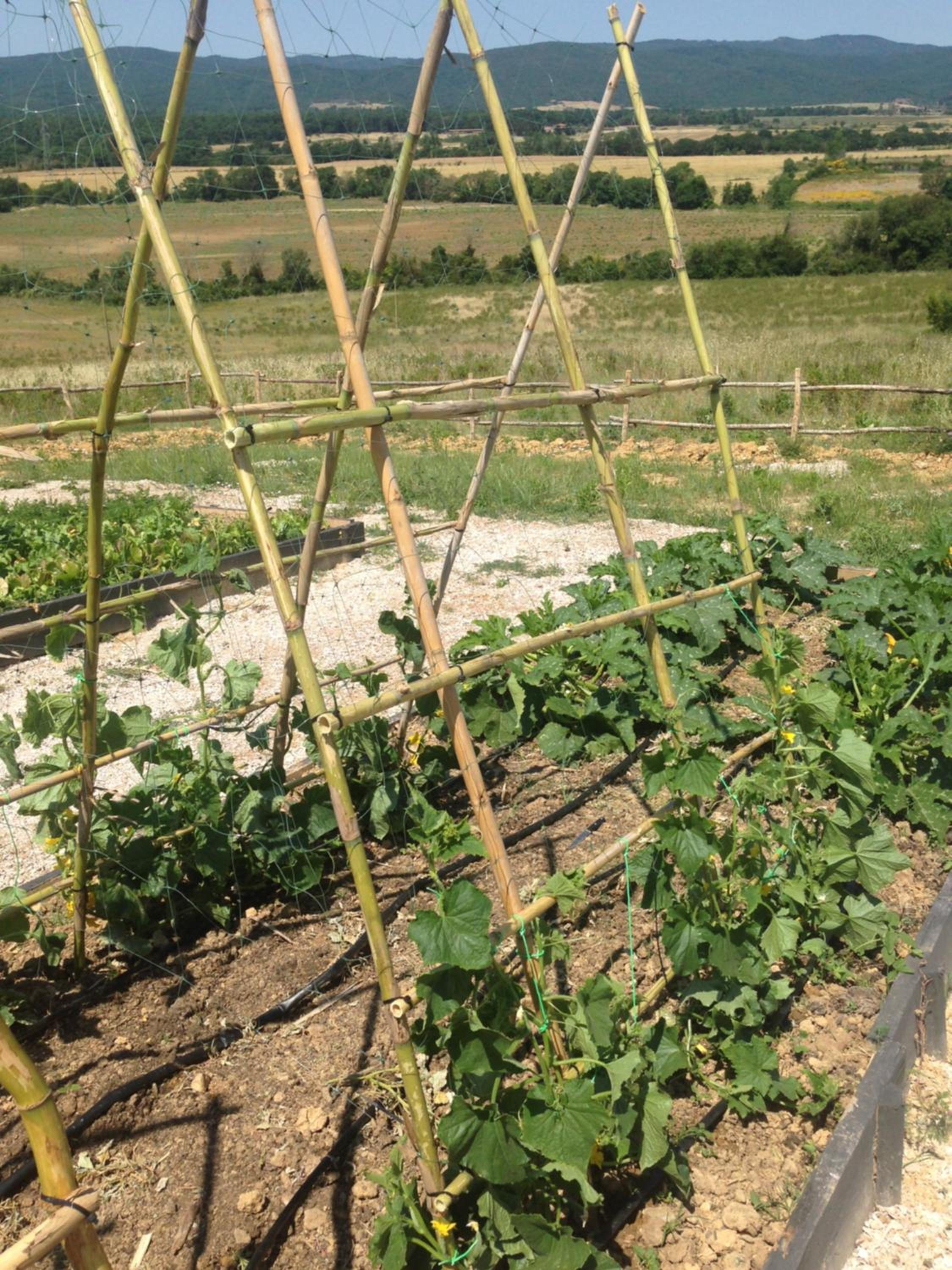 Wine Resort Conti di San Bonifacio