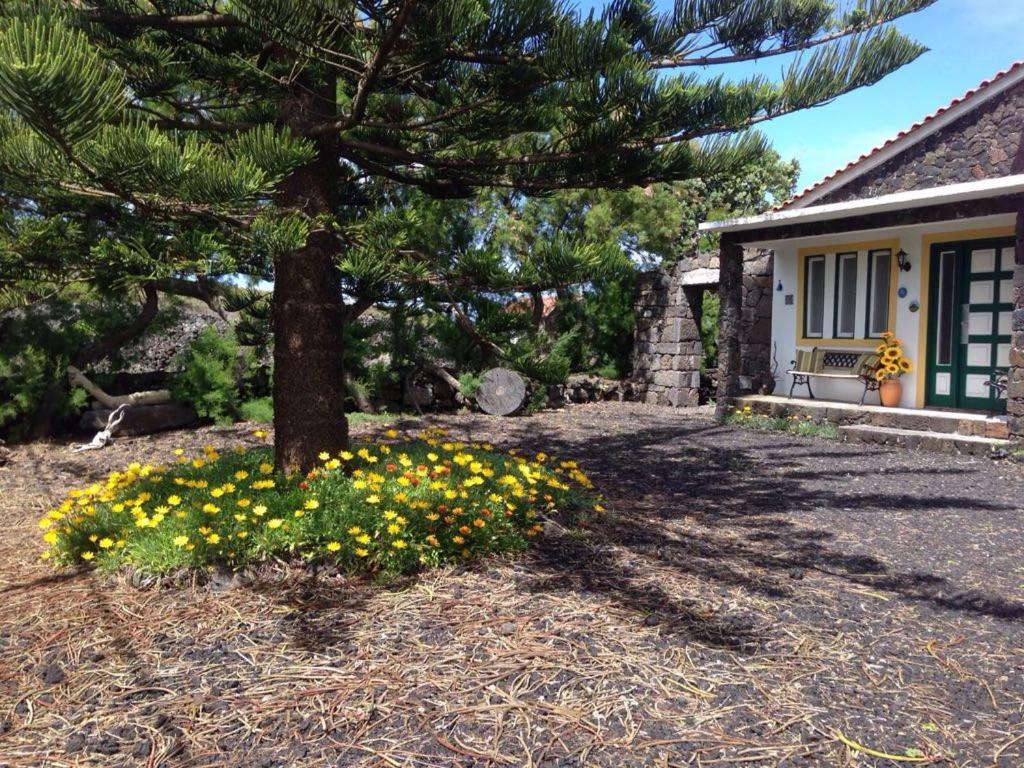 Casa da Costa view 5