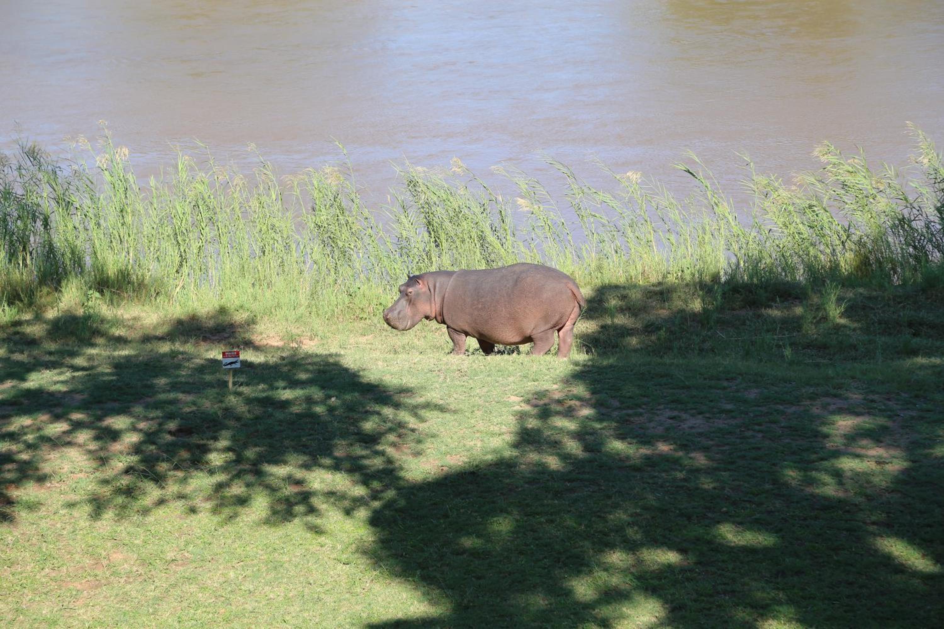 Maninghi Lodge