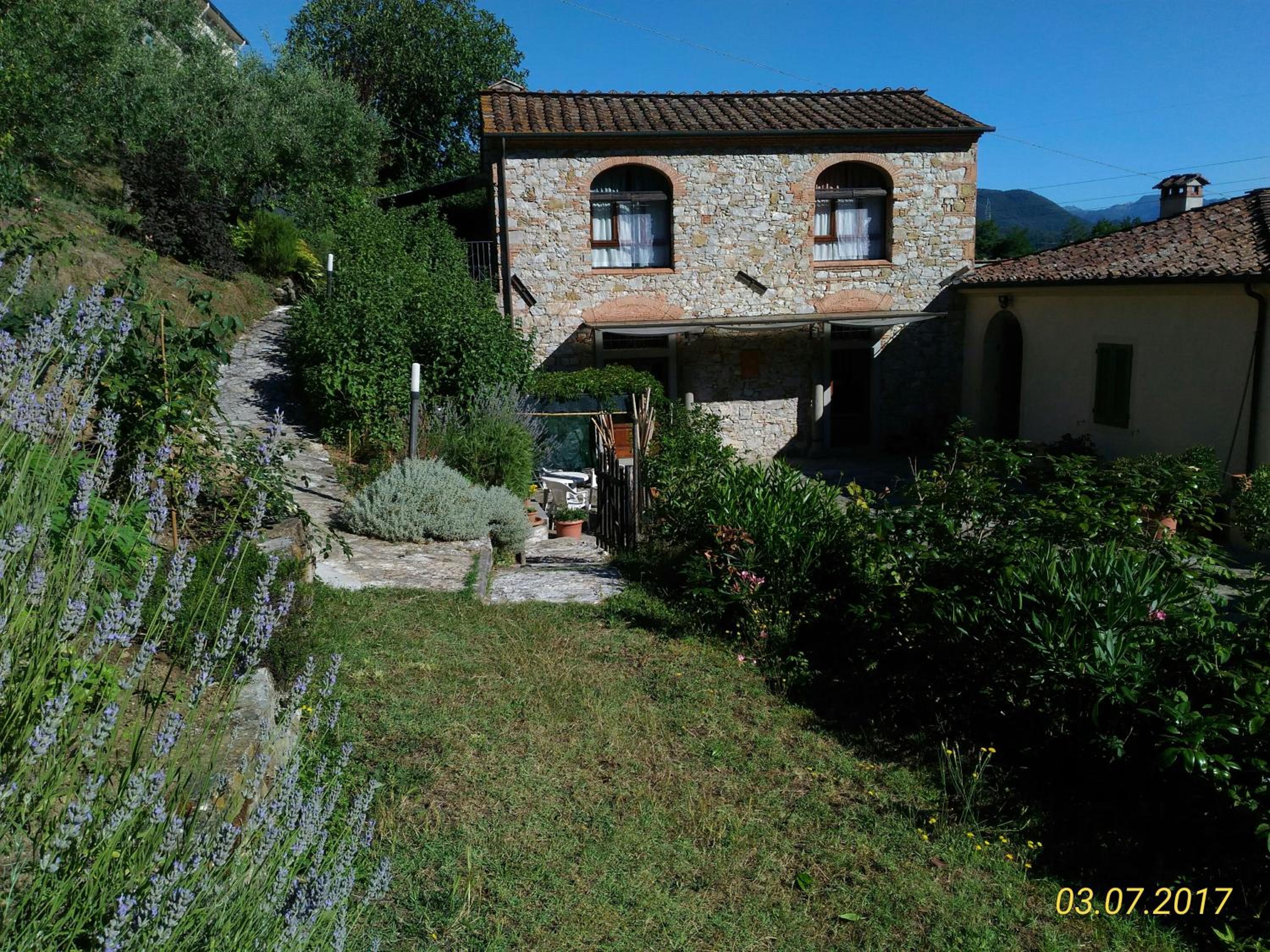 Photo 19