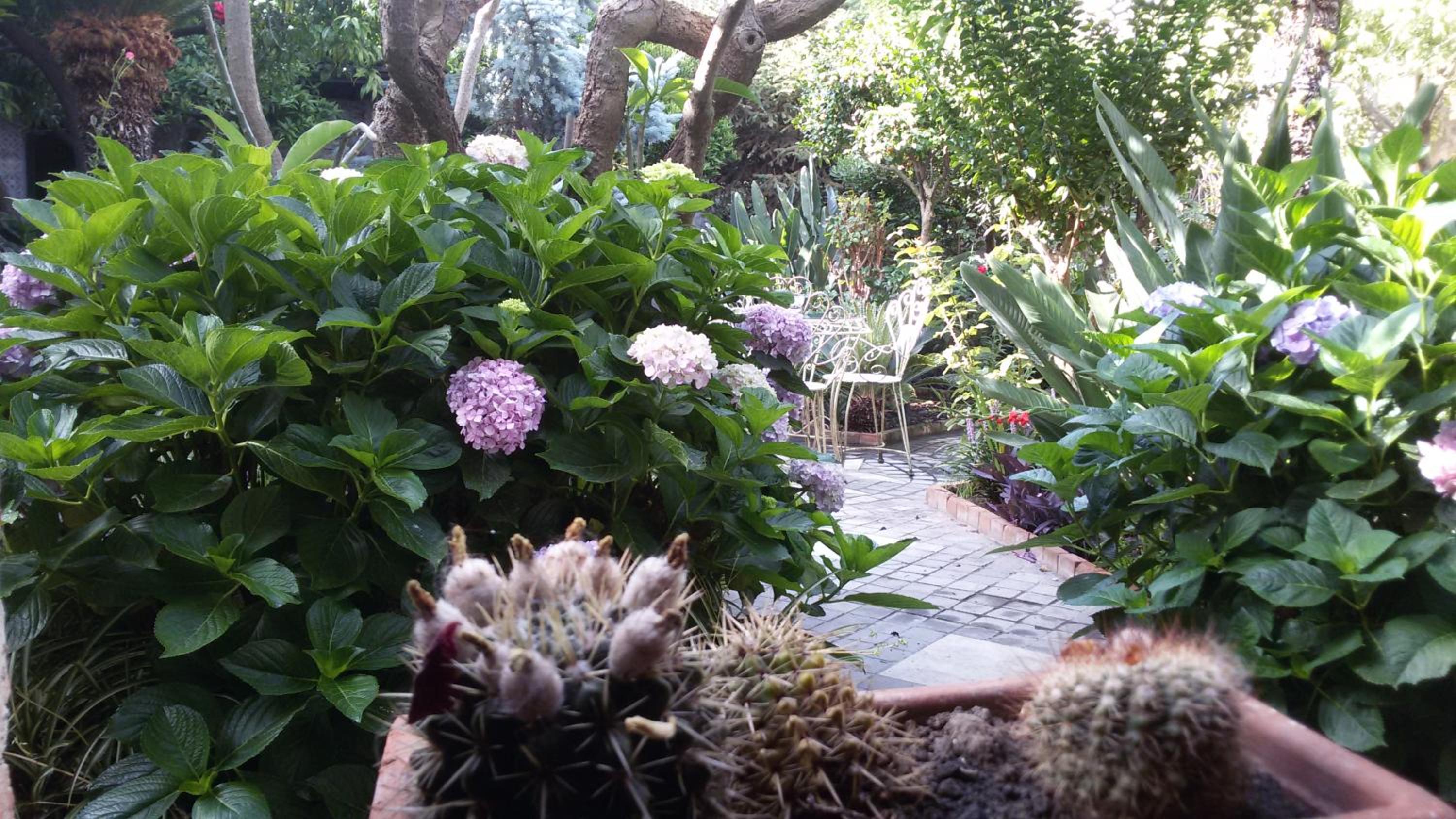 La Baronessa B&B