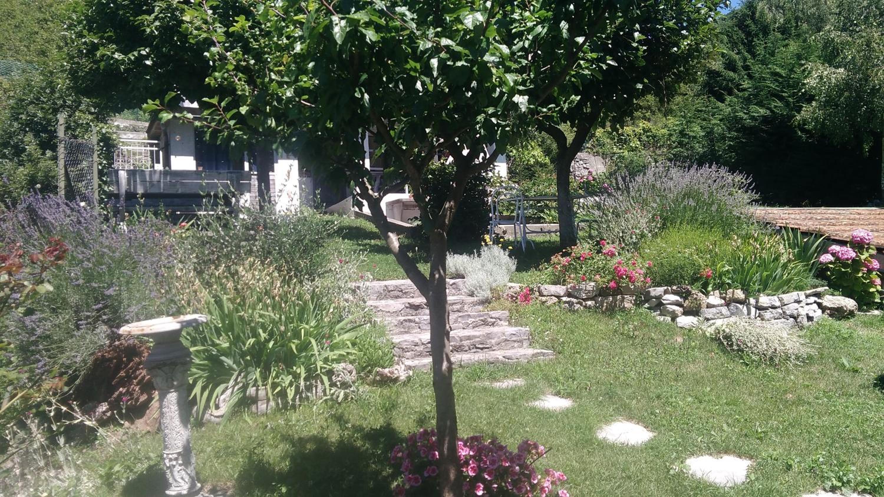 Photo 13