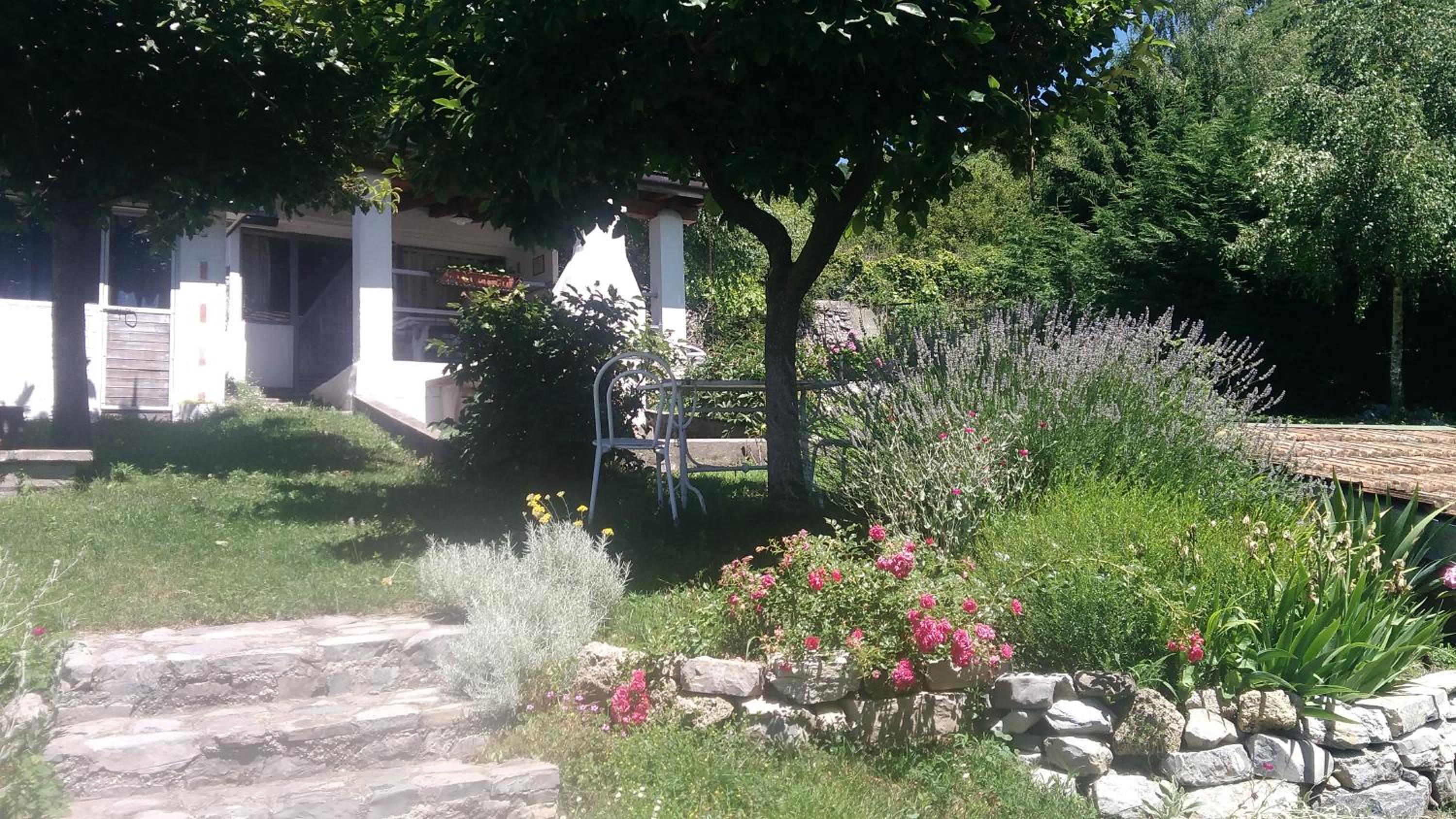 Photo 40