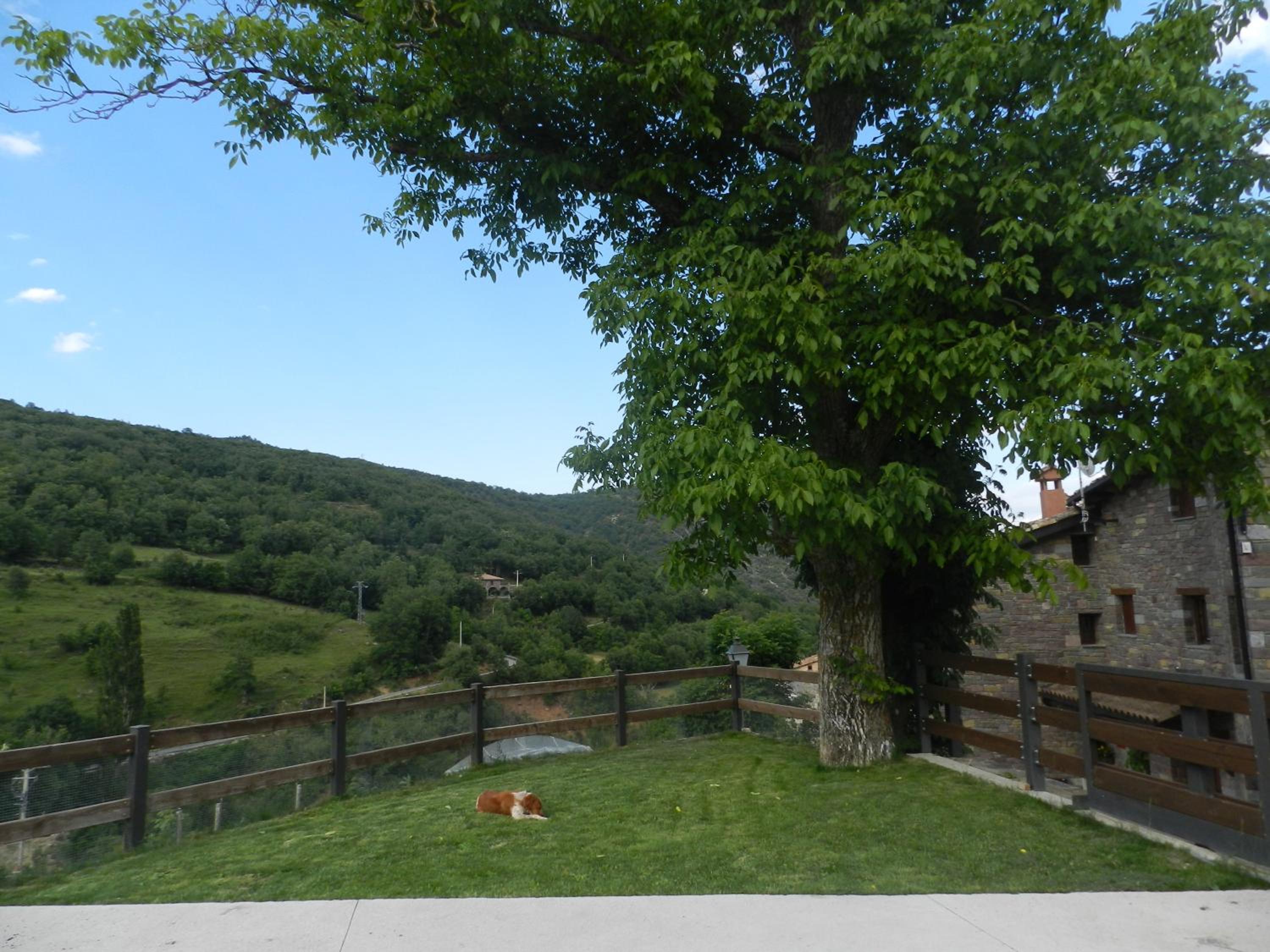 Photo 28