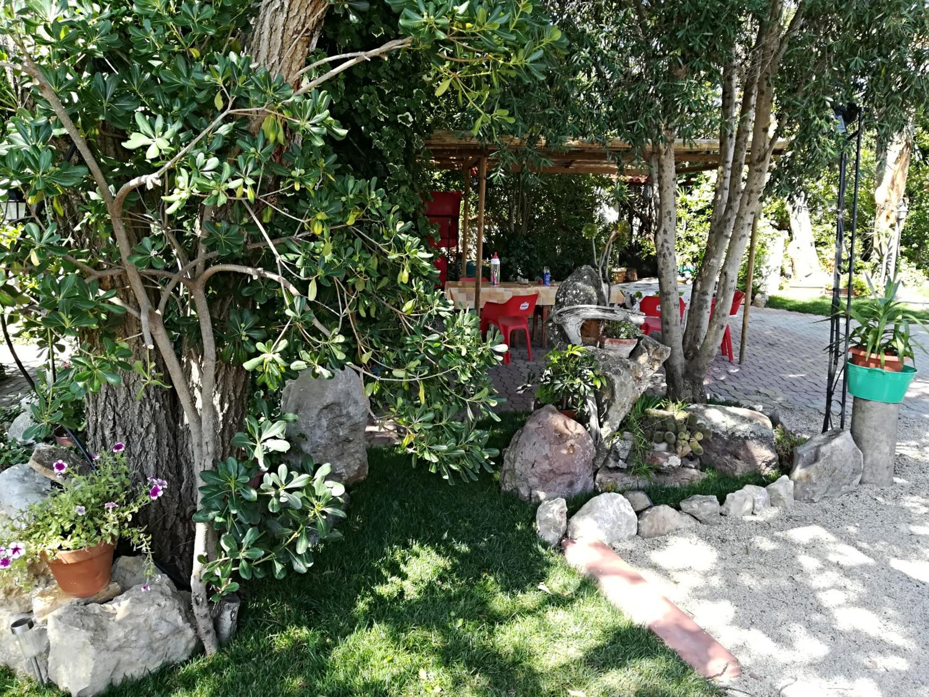 Photo 23