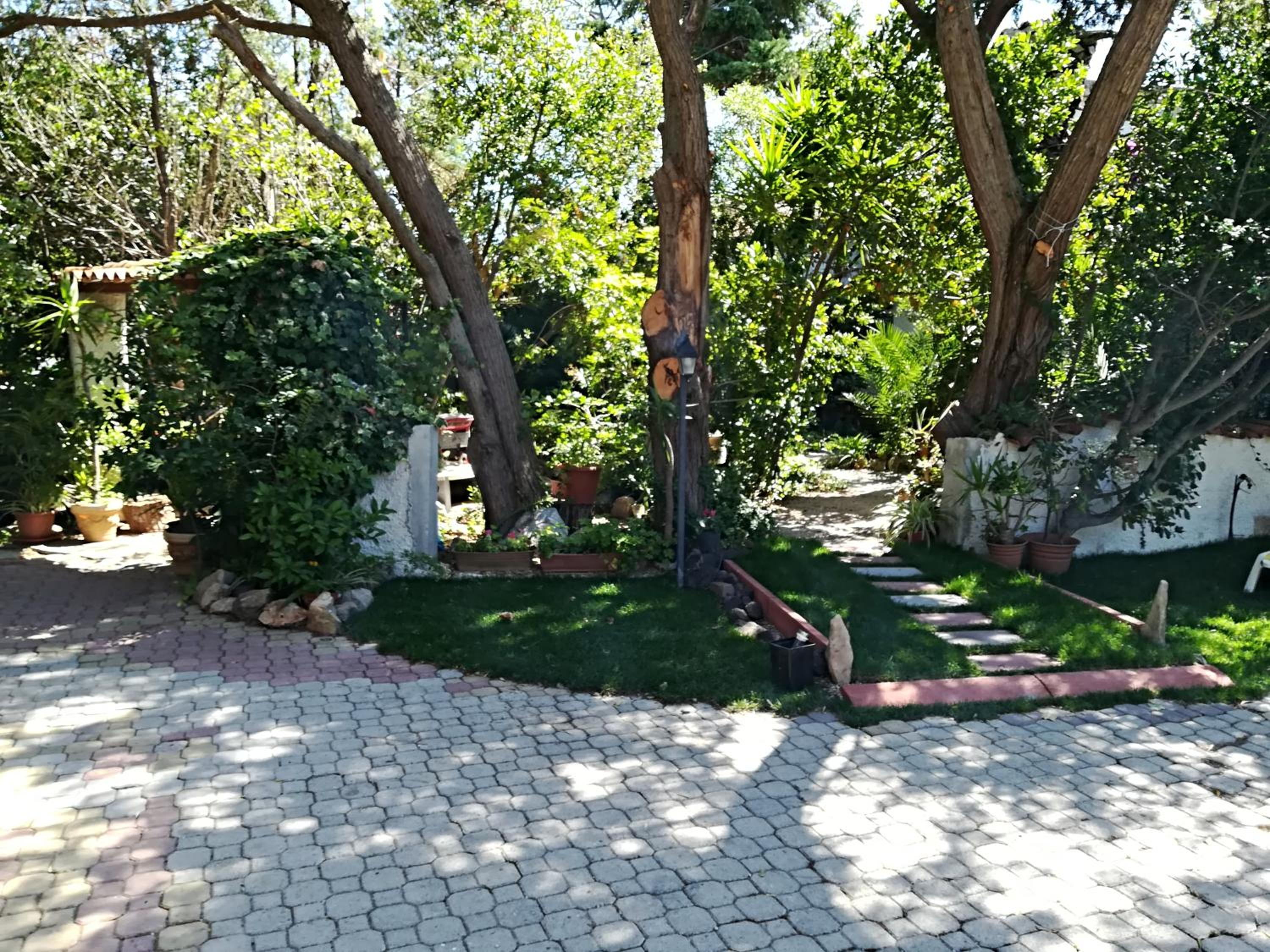 Photo 22