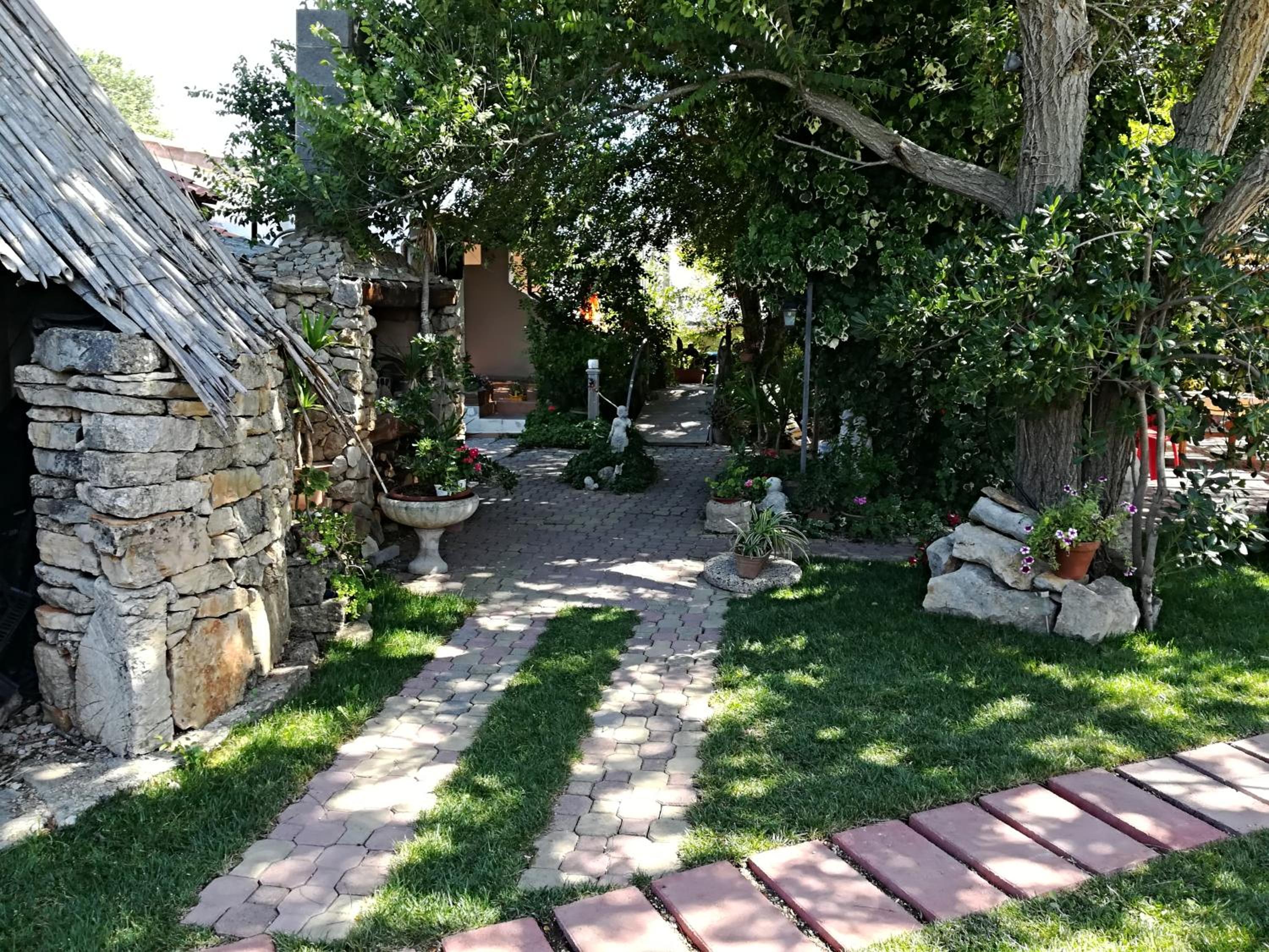 Photo 21