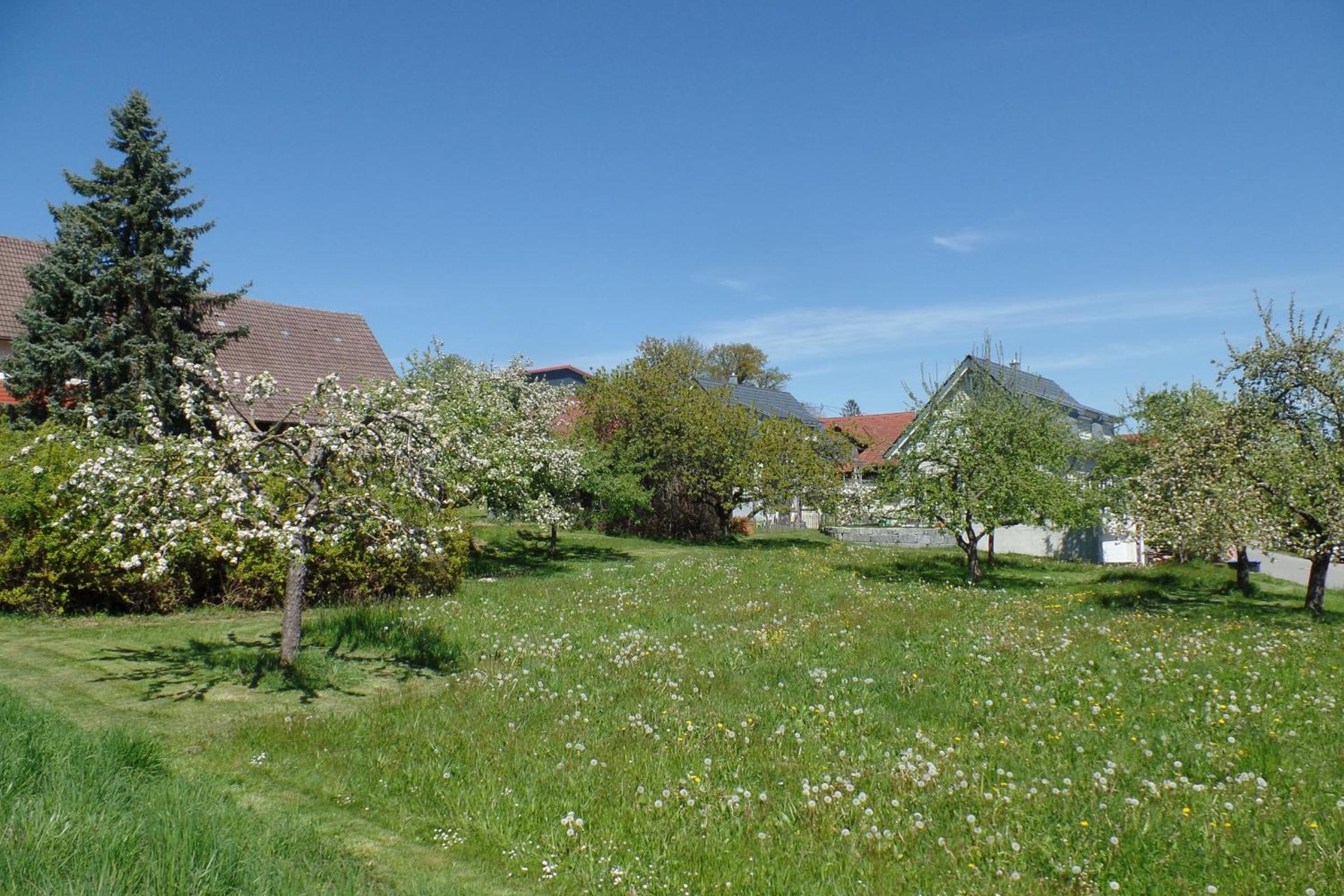Ferienwohnung Igel