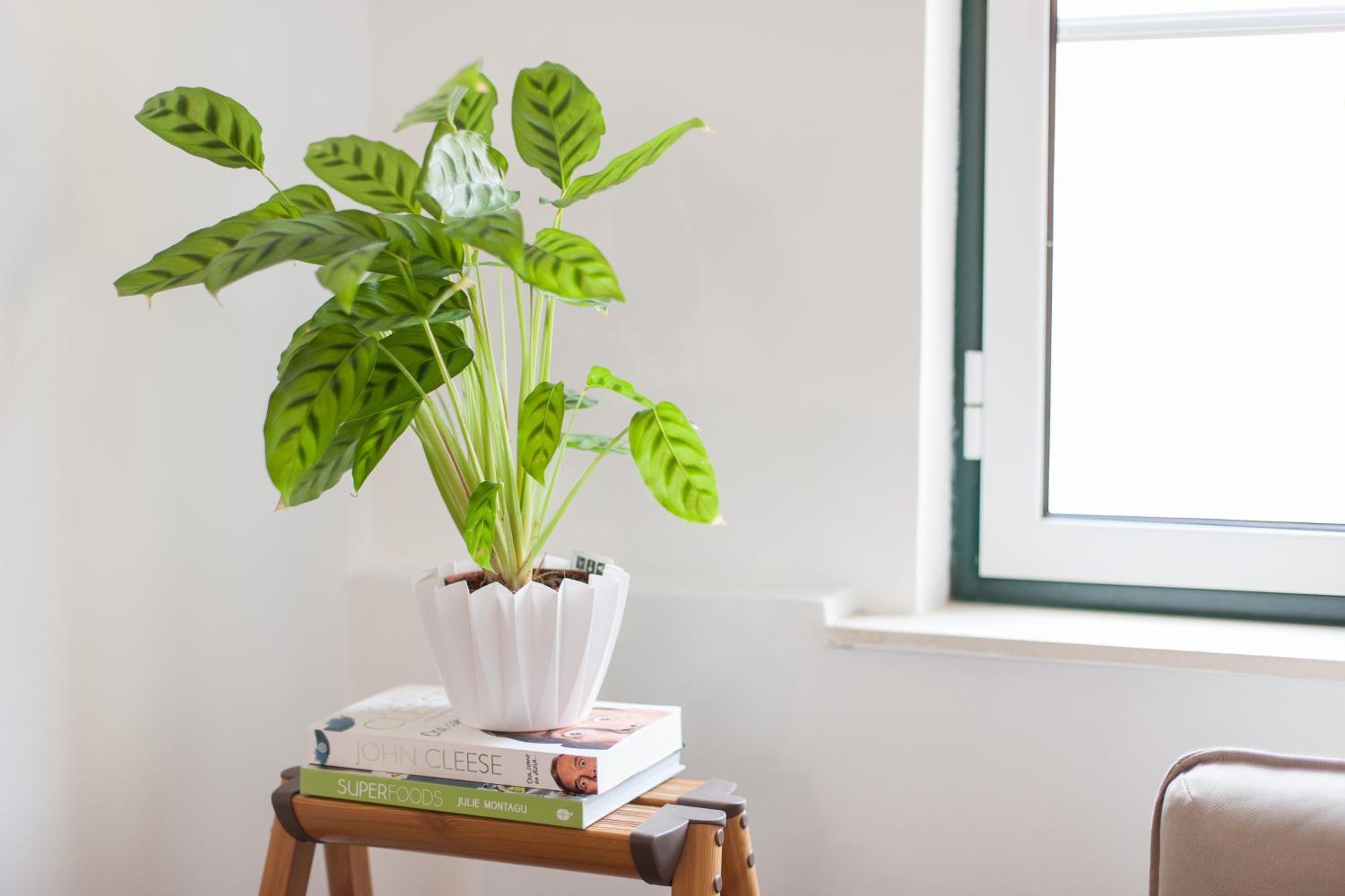 Martim Moniz Studio Apartments - by LU Holidays