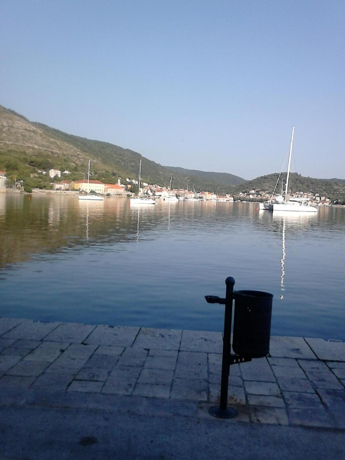 Apartments Bilić view 5