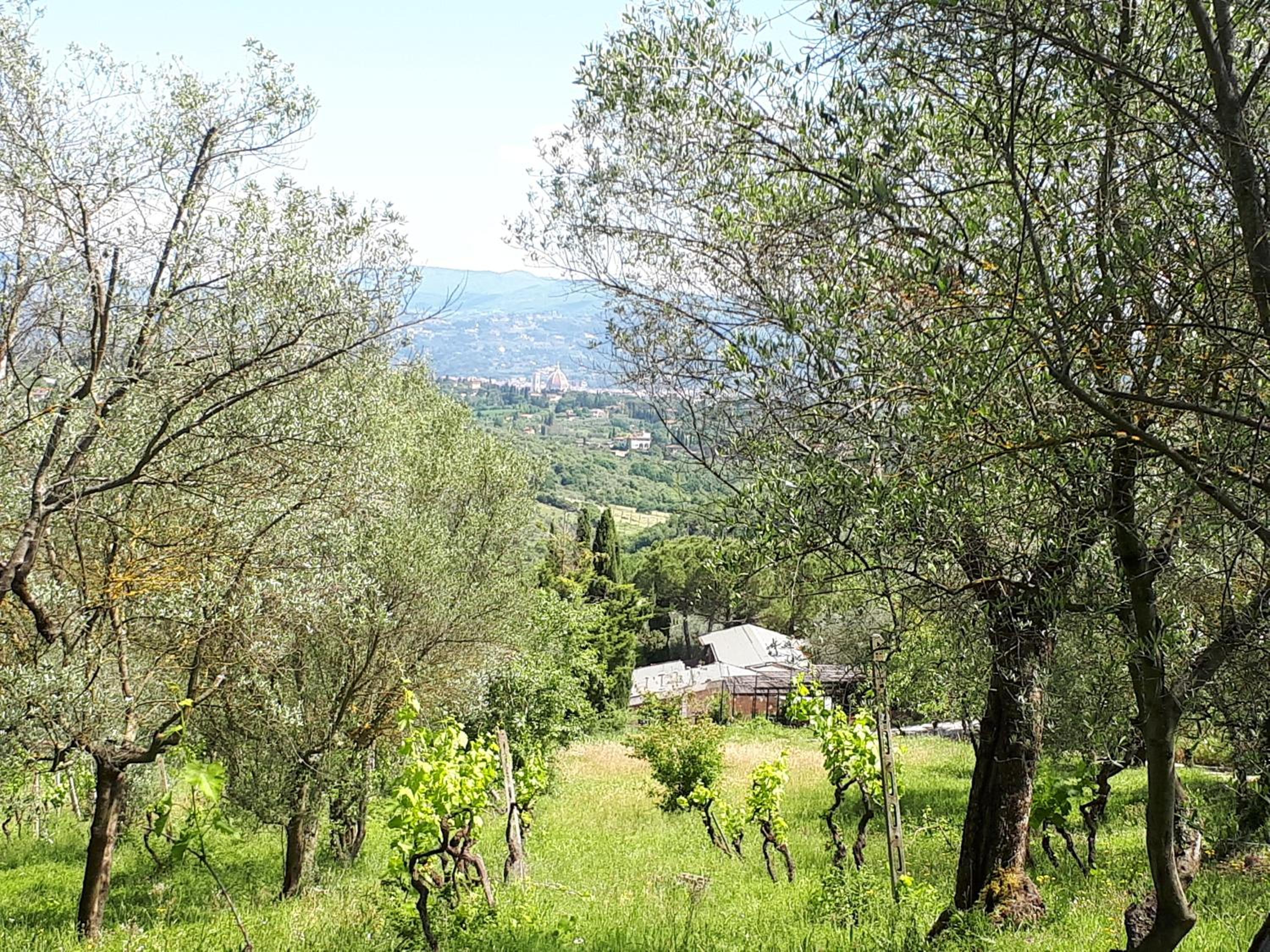 Fattoria Il Milione Agriturismo