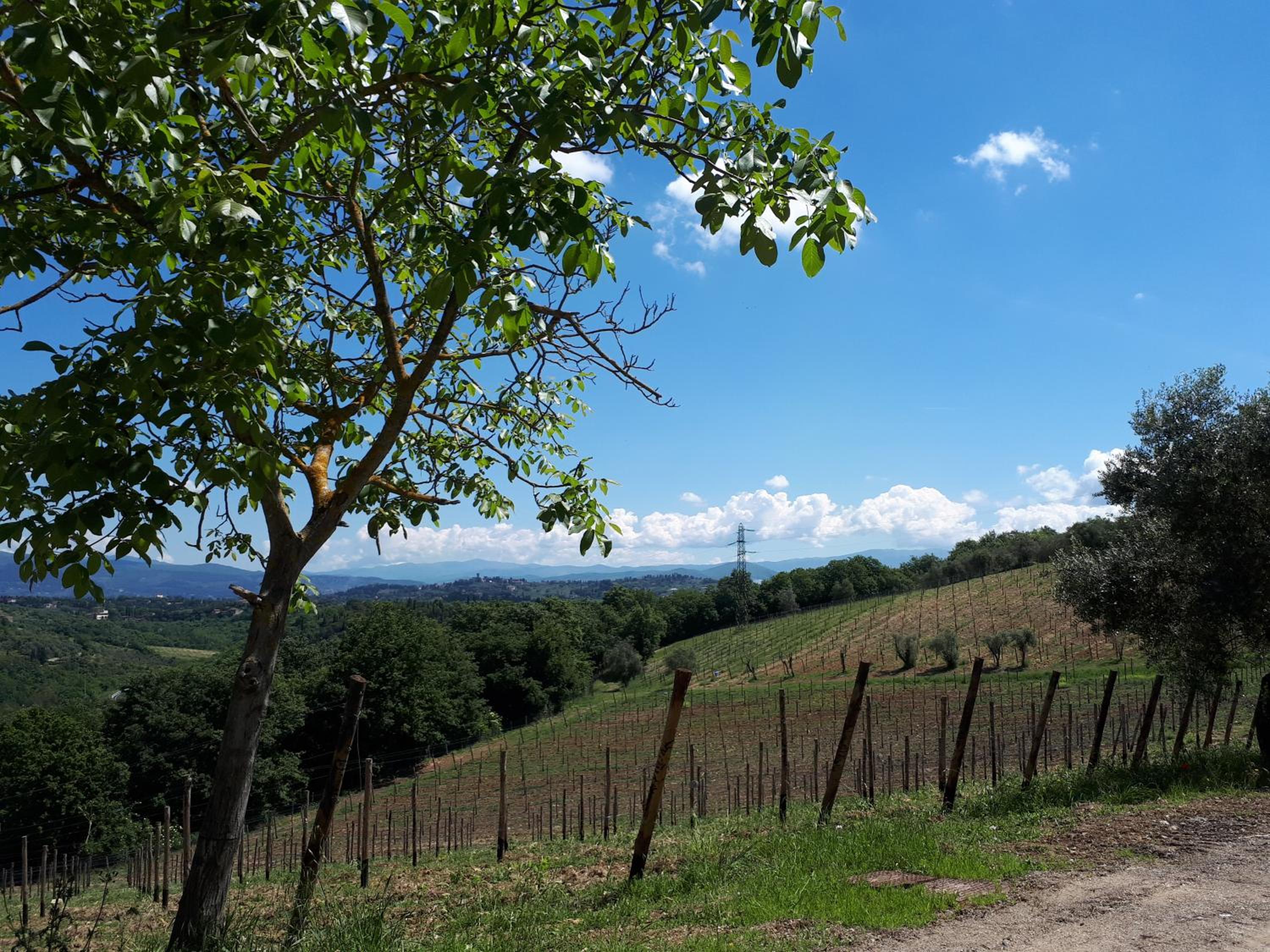 Fattoria Il Milione Agriturismo