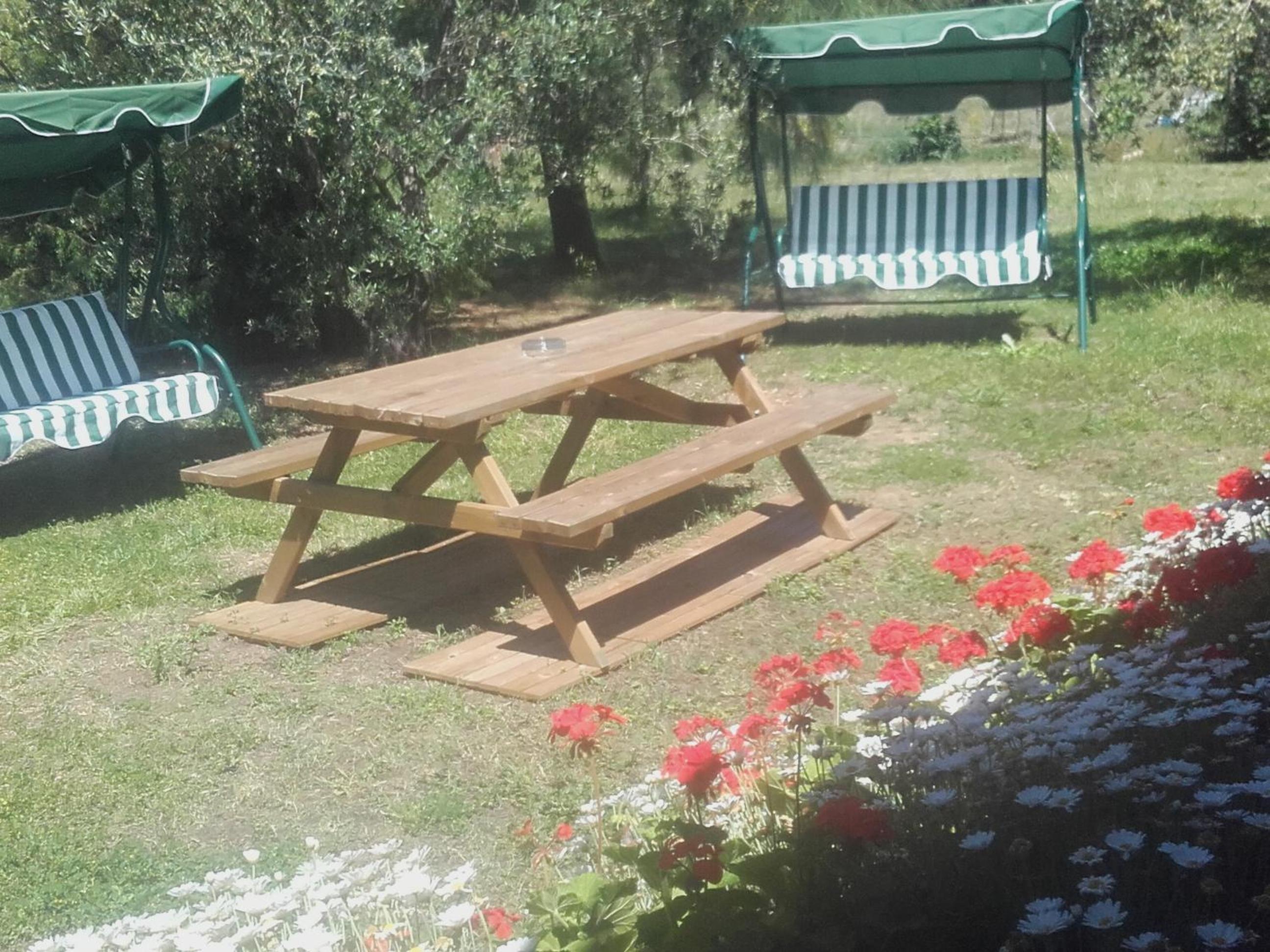 Photo 21