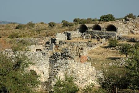 Photo 28