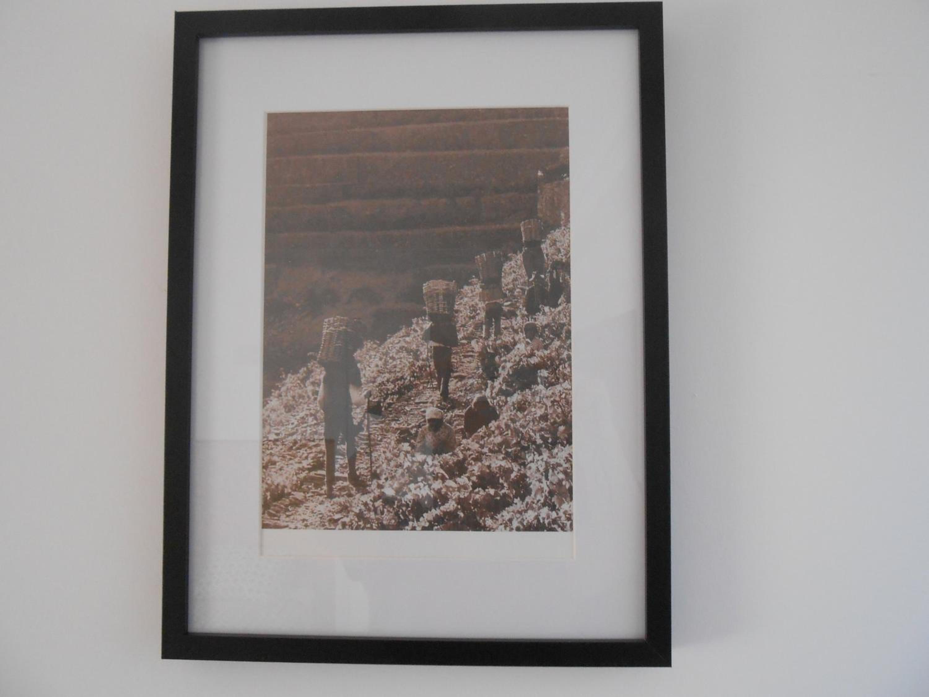 Sinos Rio Tinto, photo 55