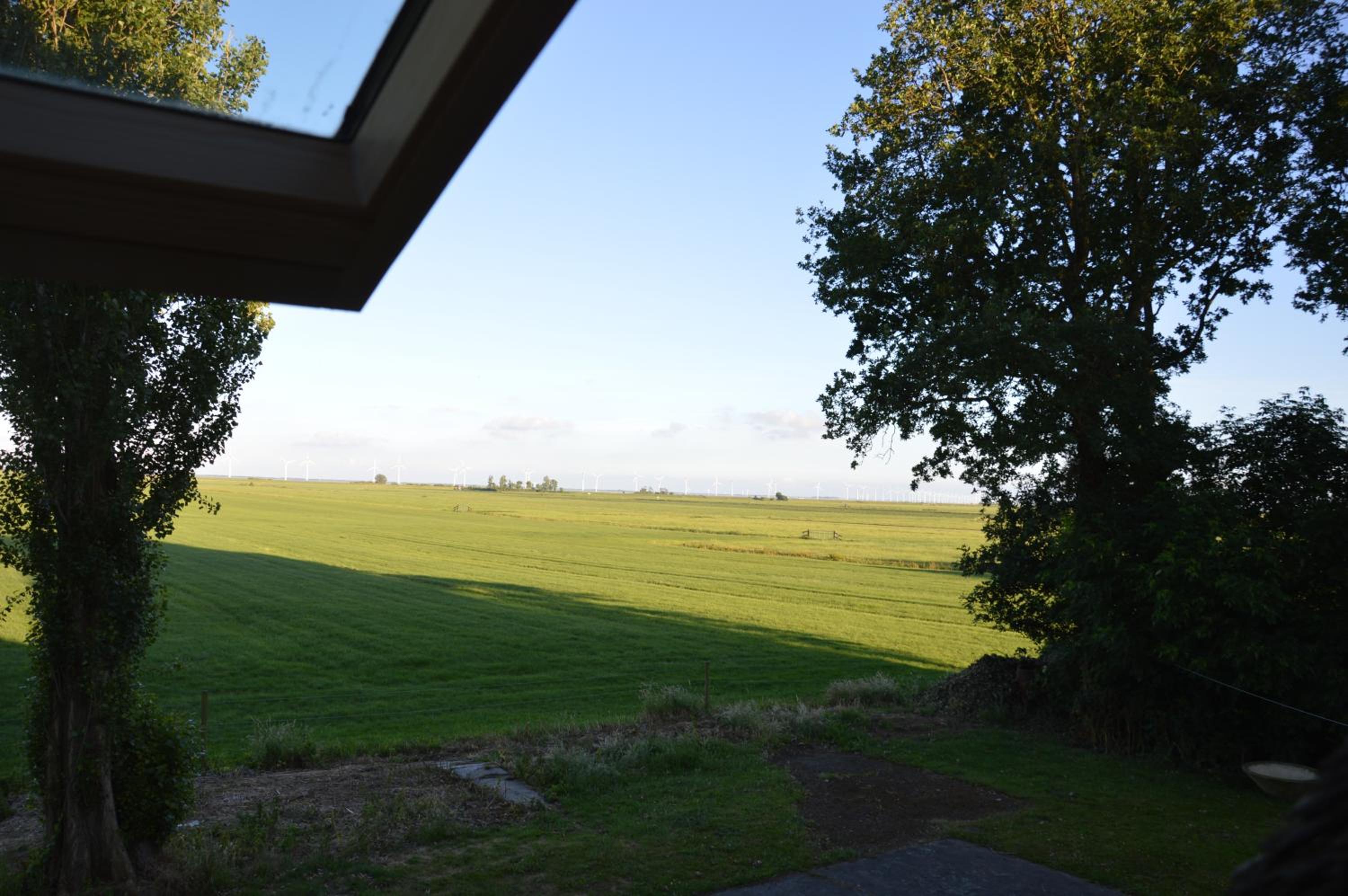 Photo 33