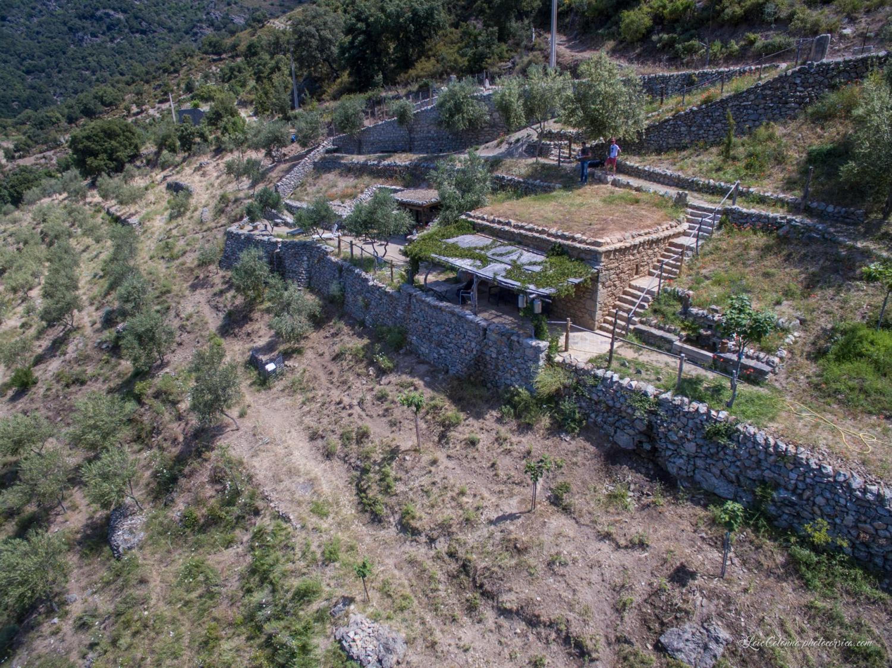 Les Bergeries "Le figuier" view 3