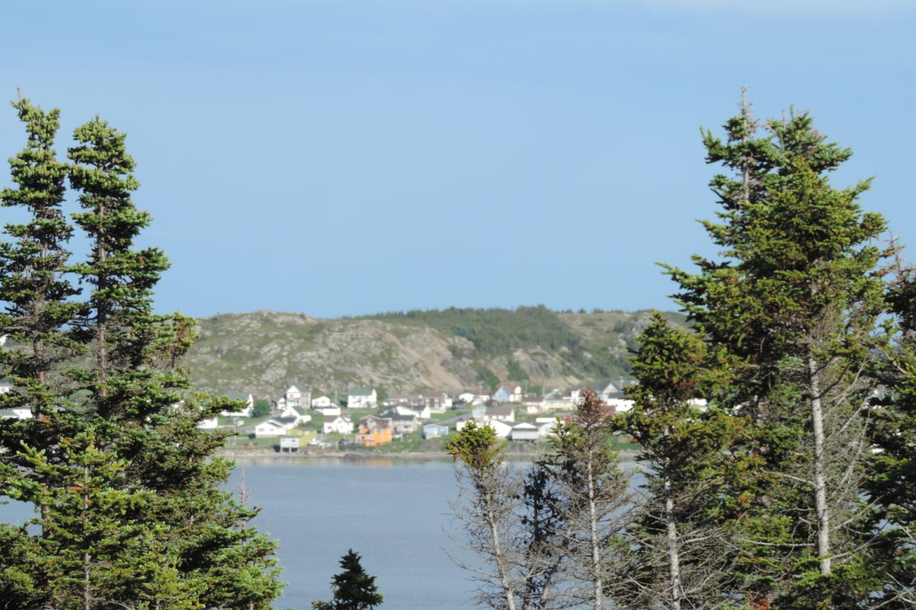 Photo 22