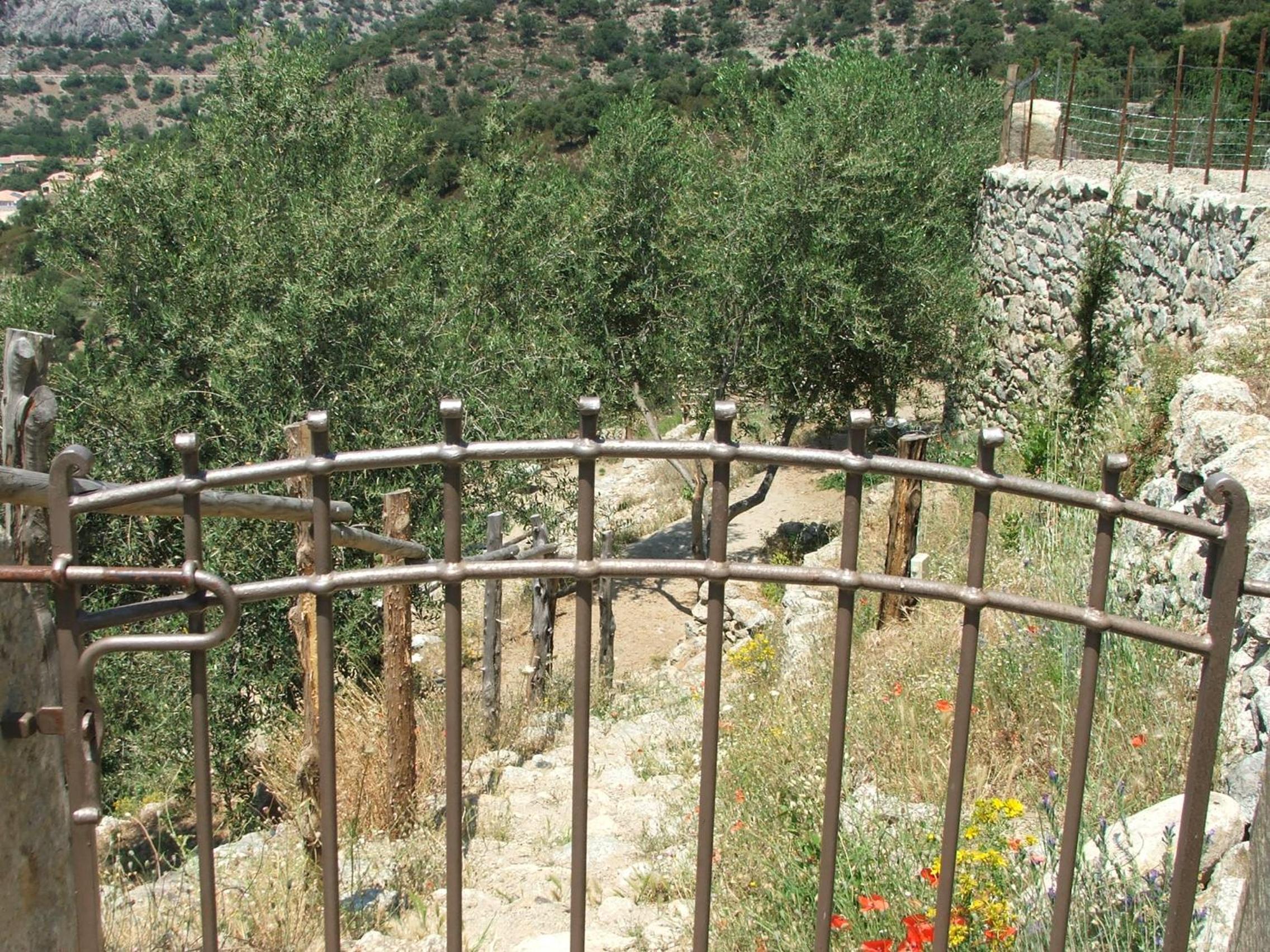 Photo 7