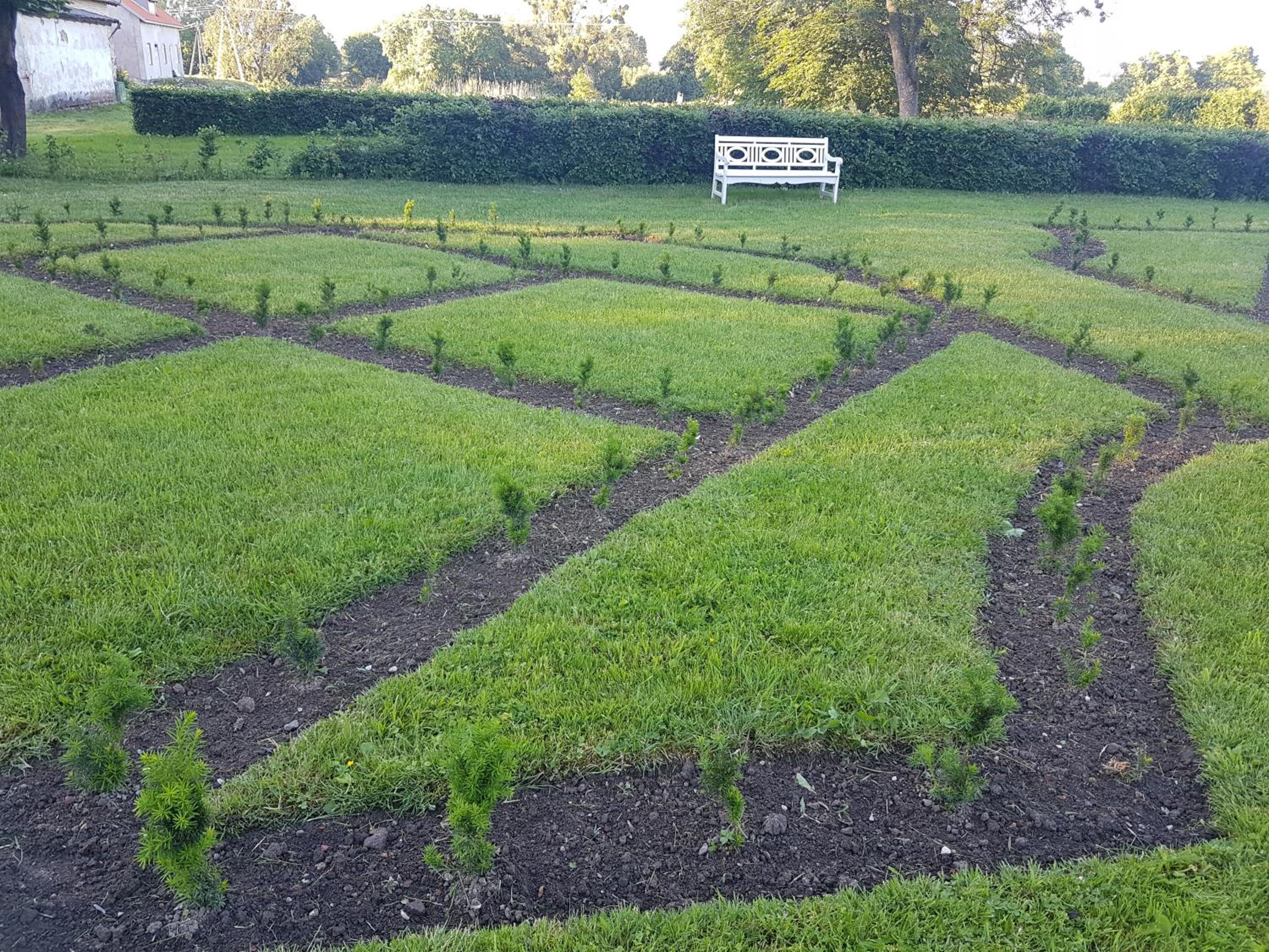 garden