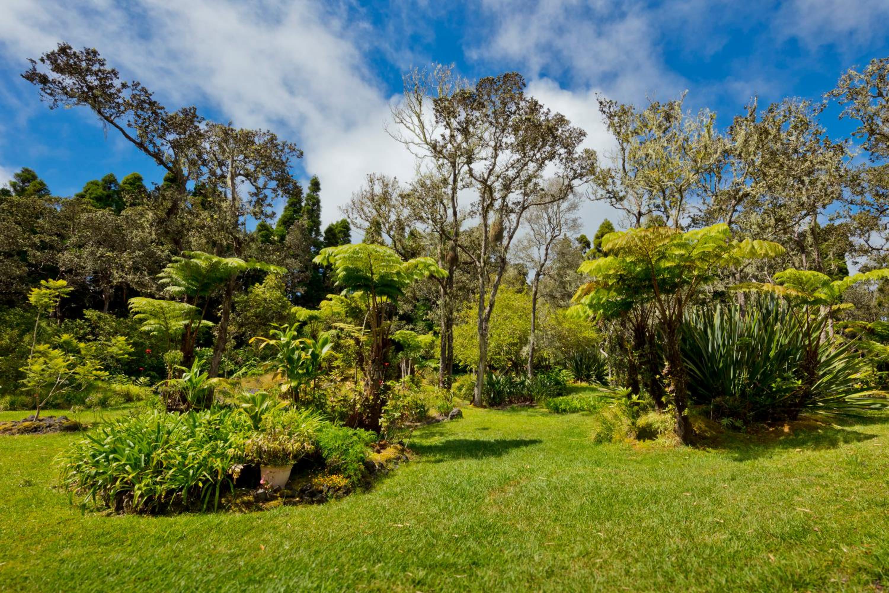 Hale 'Ohu Bed & Breakfast
