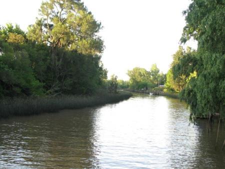 Cabañas Bocas del Tigre