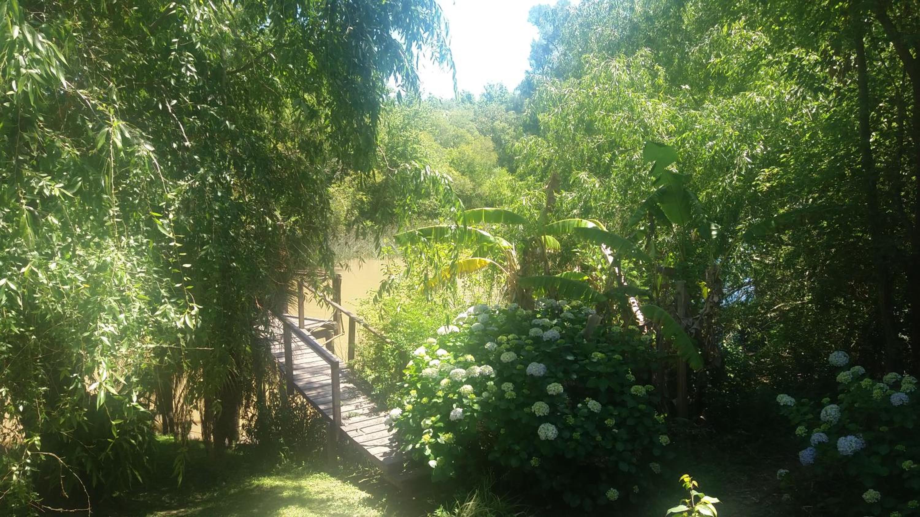 Cabañas Bocas del Tigre