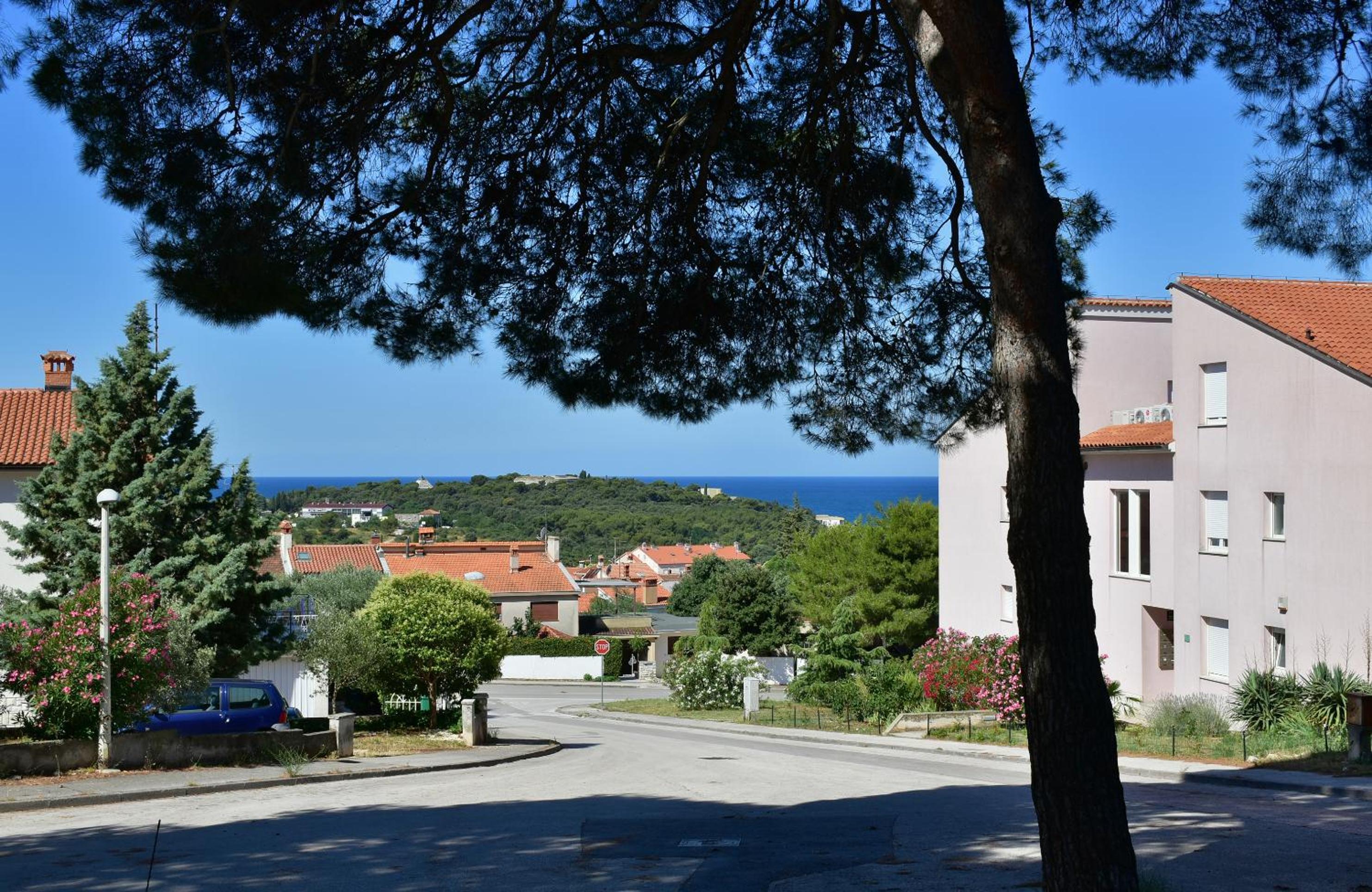 Pino view 3