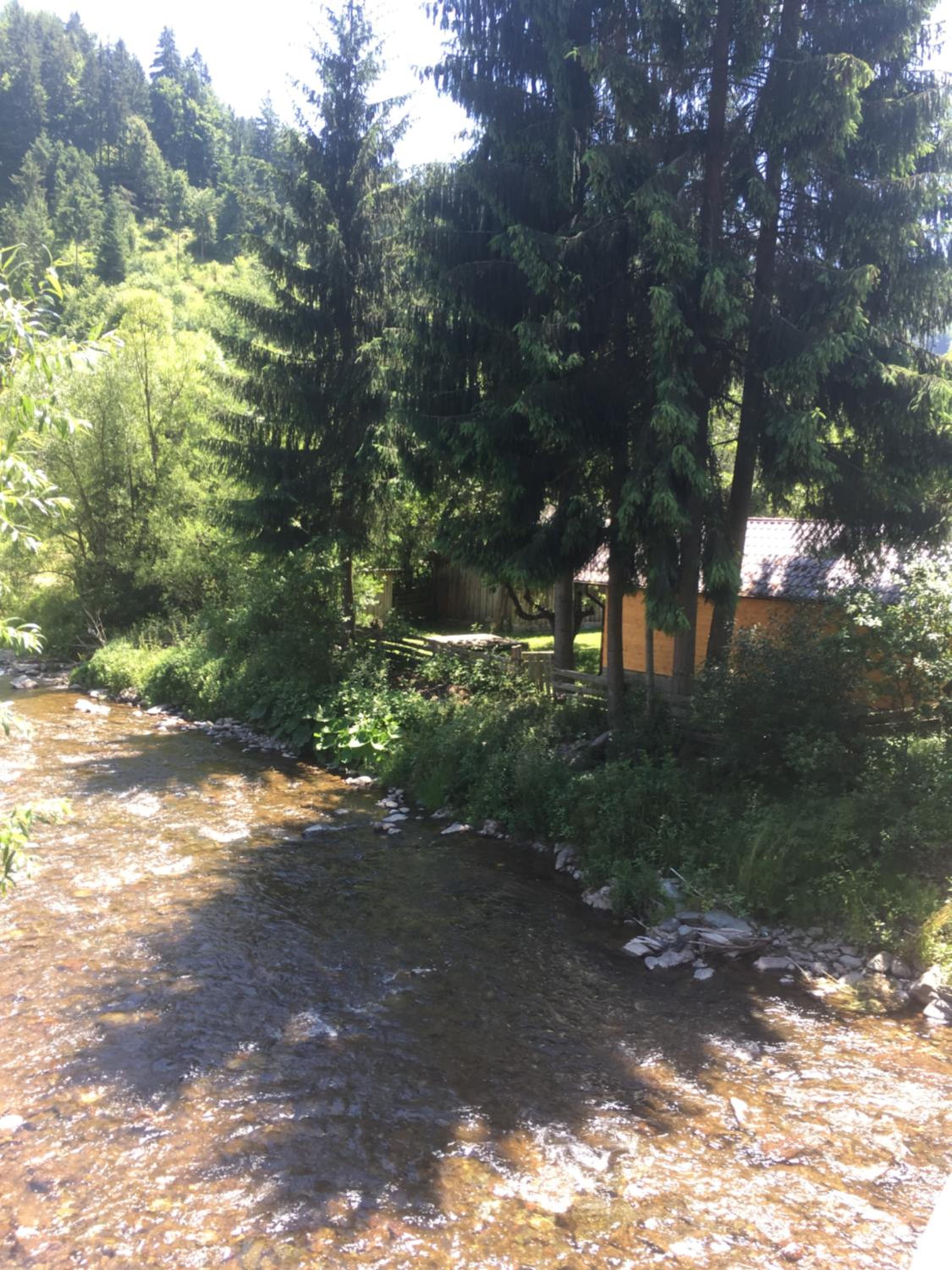 Photo 33
