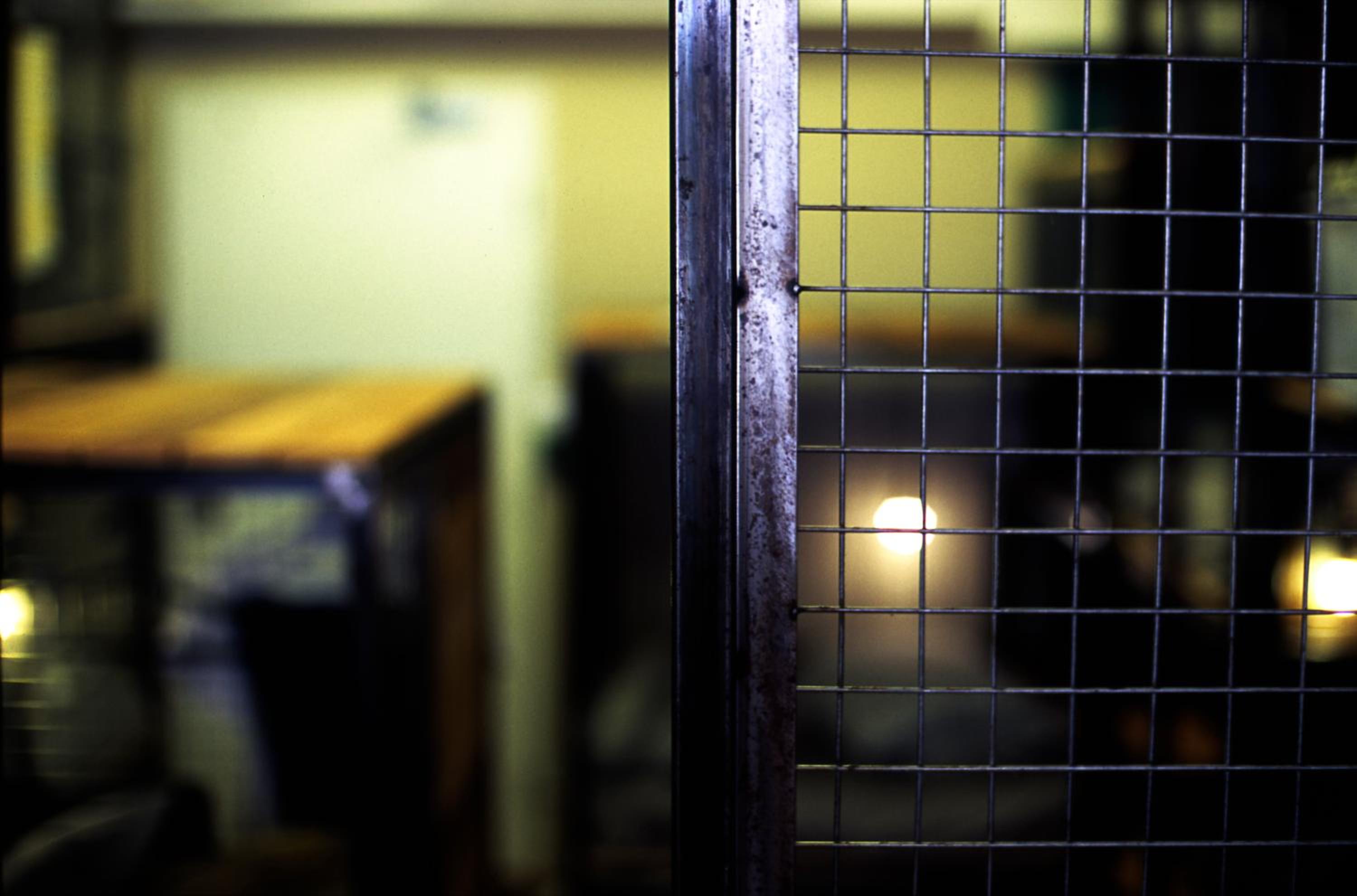 Wontonmeen - Hostel 88