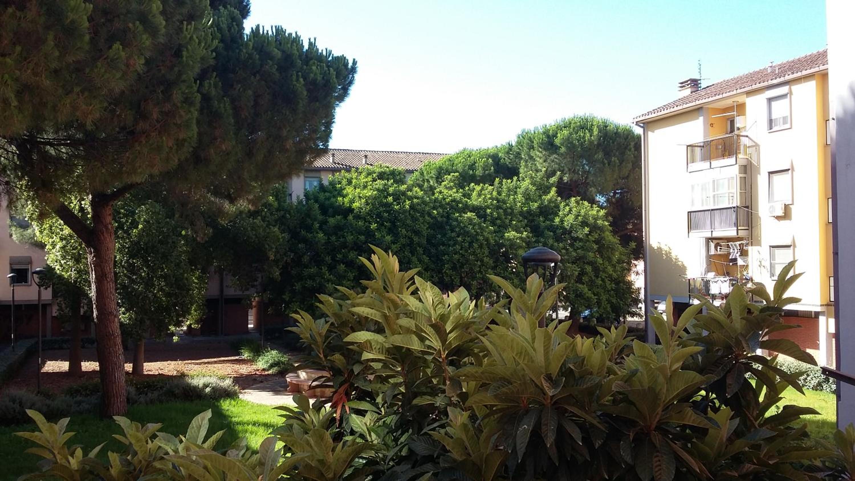 B&B Maria Montis photo 5
