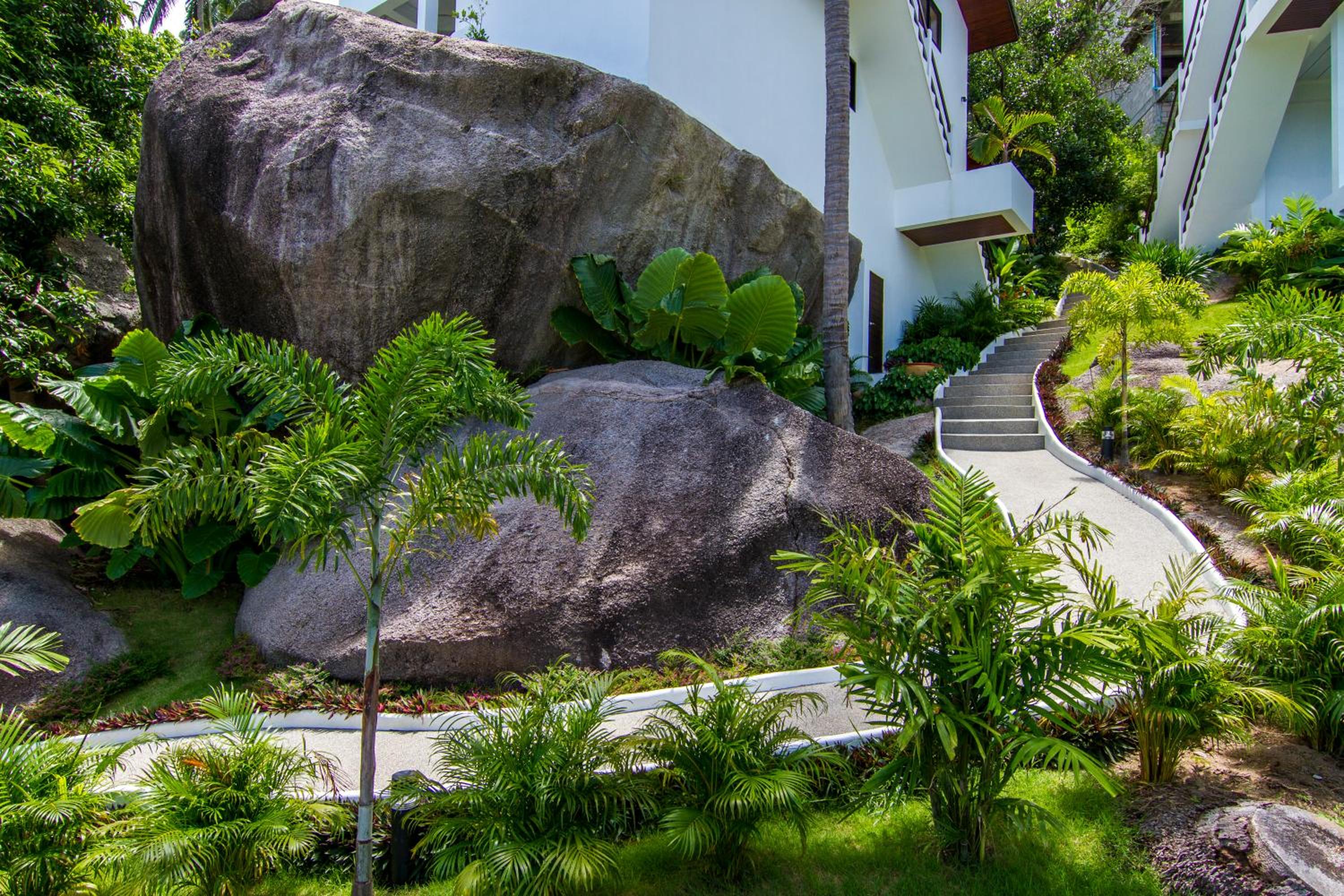 The Plantation Koh Tao
