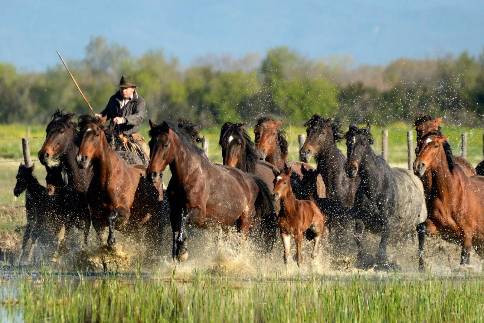 Agriturismo Redipuglia