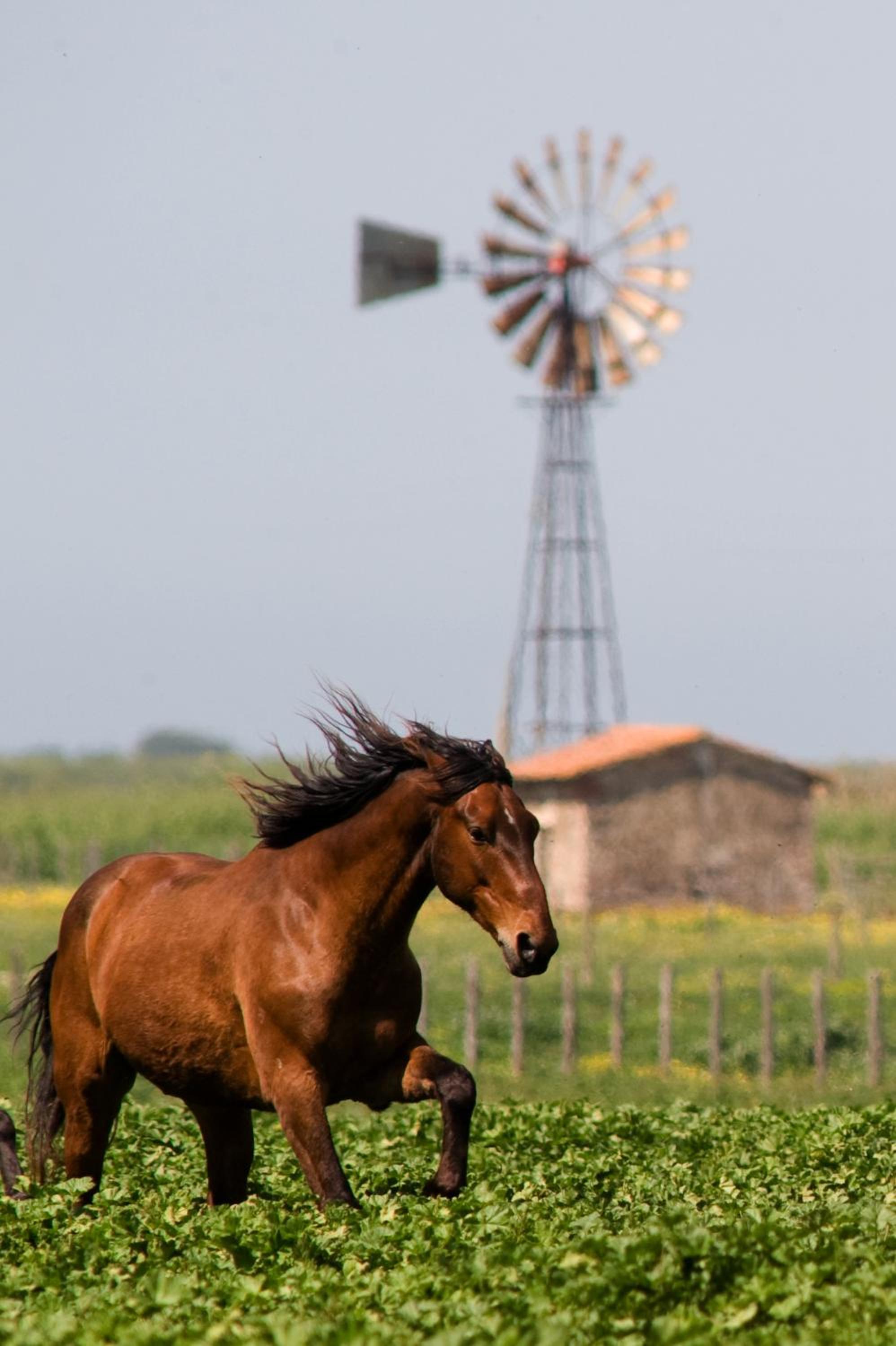 Agriturismo Redipuglia
