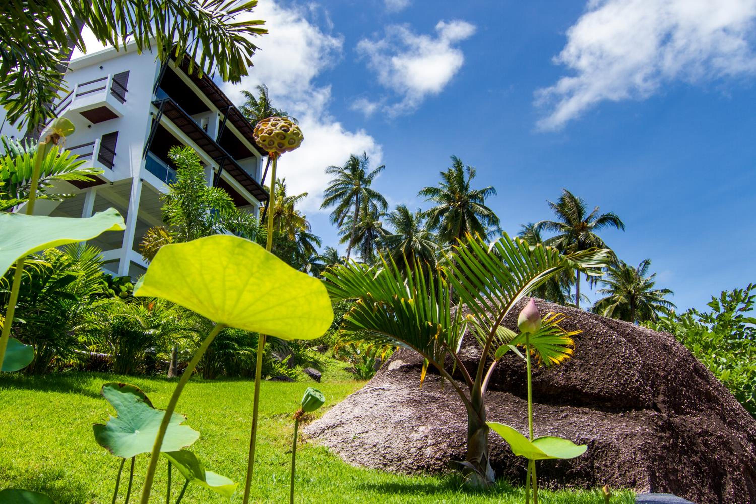 The Plantation Koh Tao