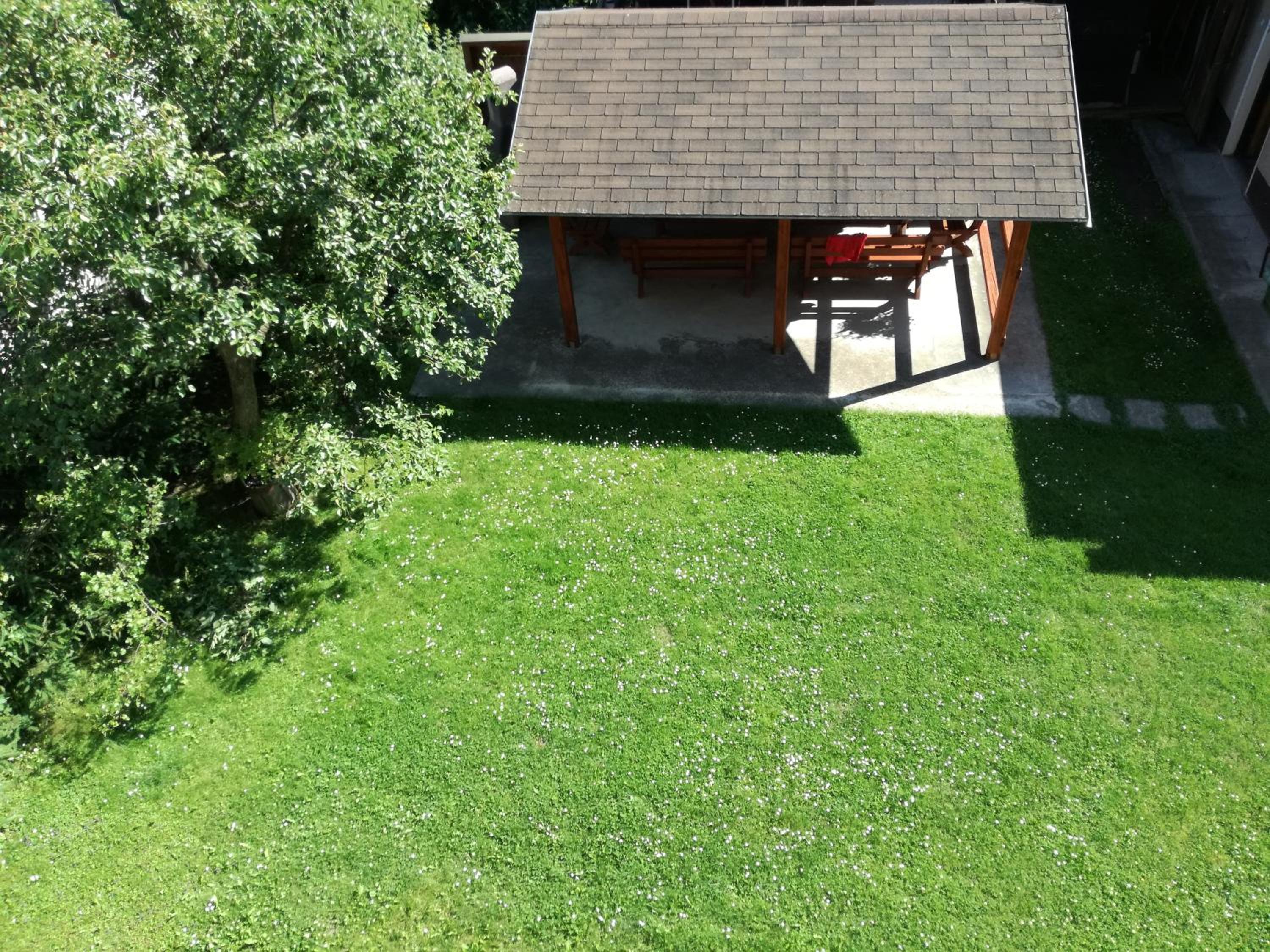 Photo 45