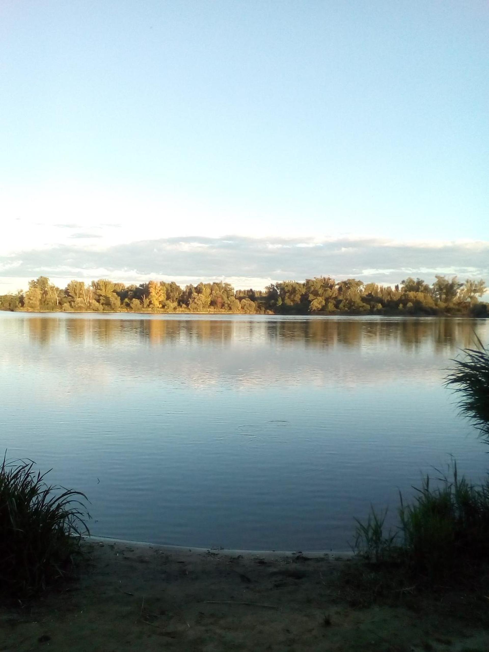 Photo 38