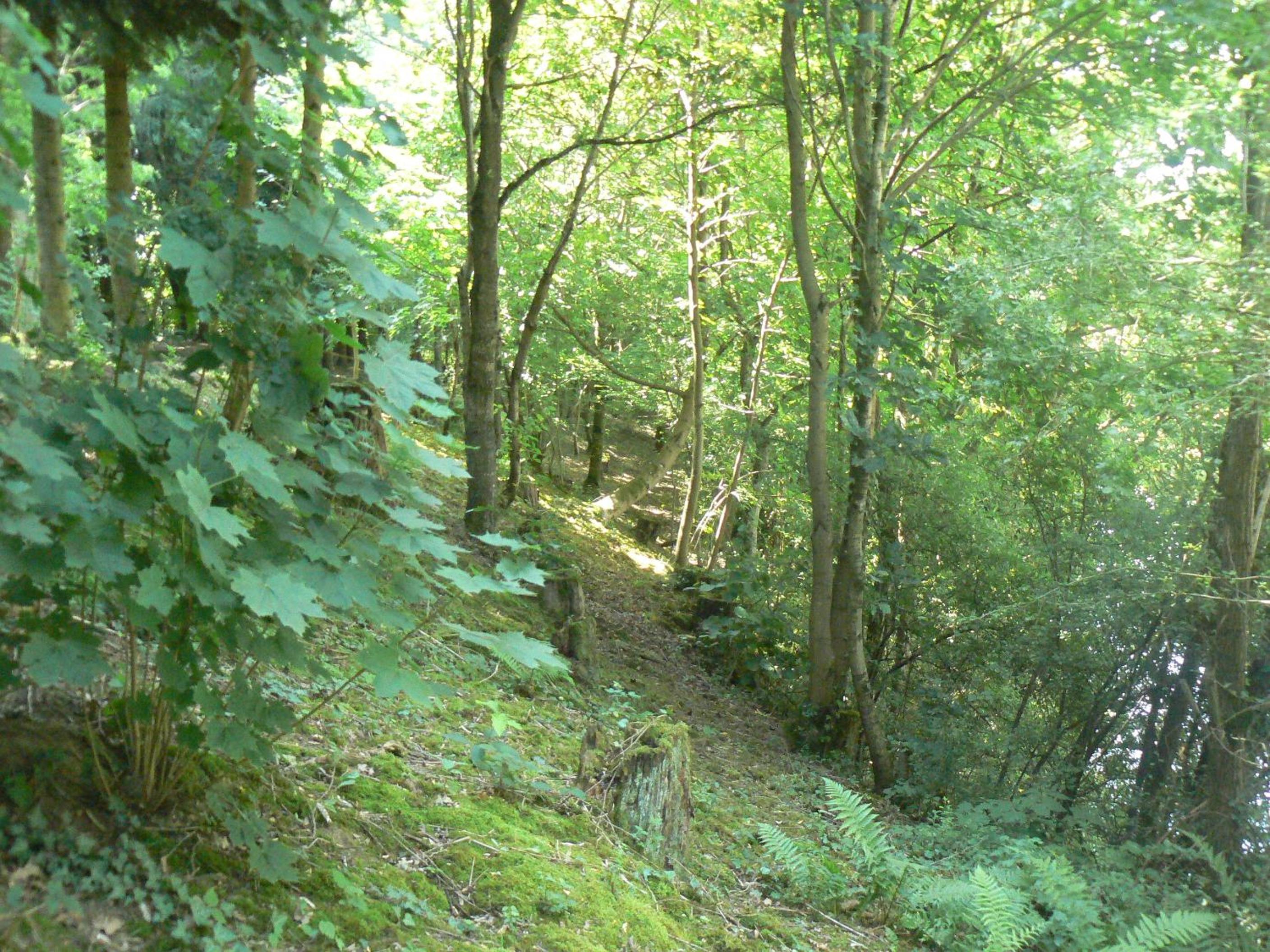 Photo 39
