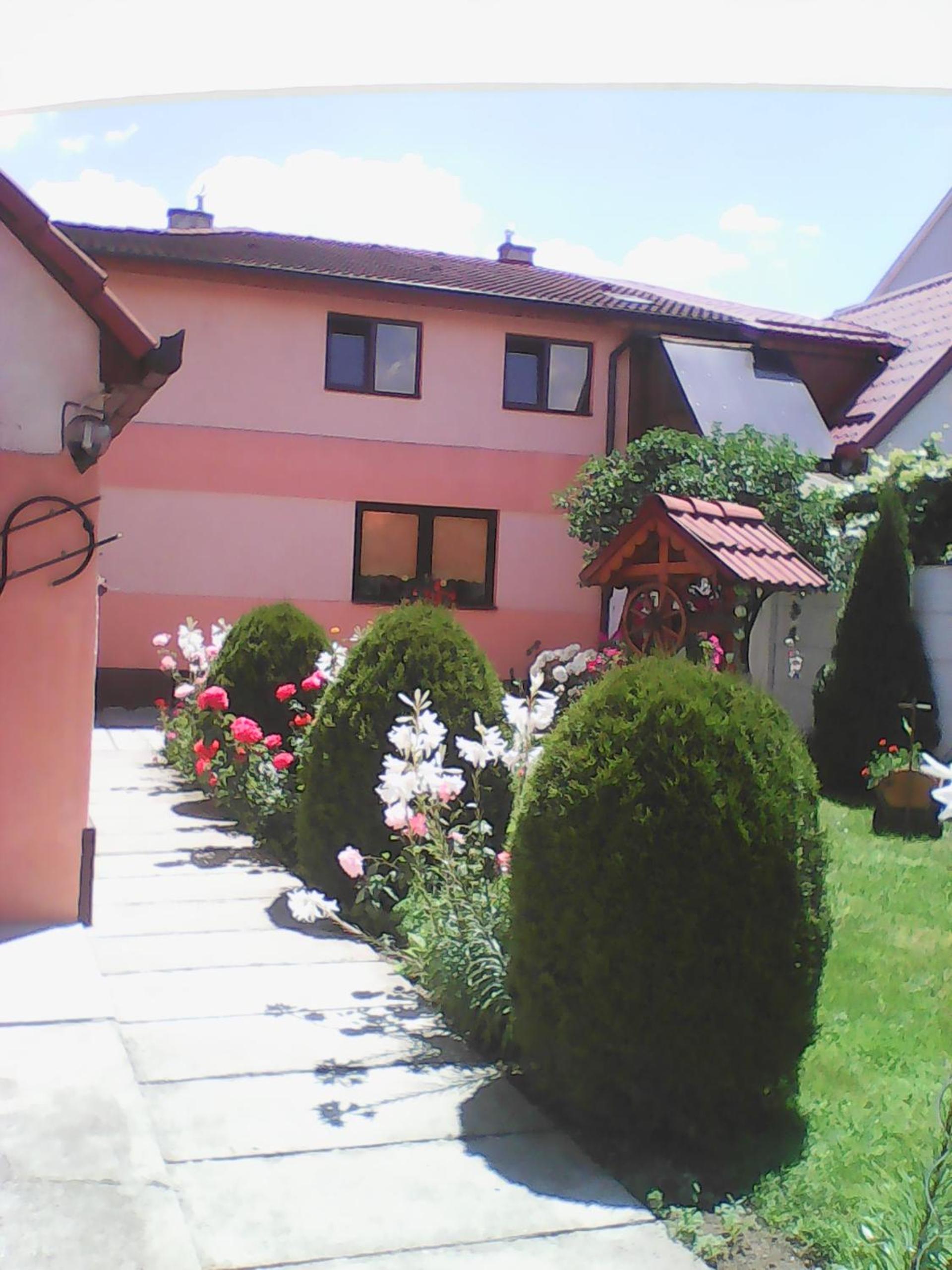 Photo 48