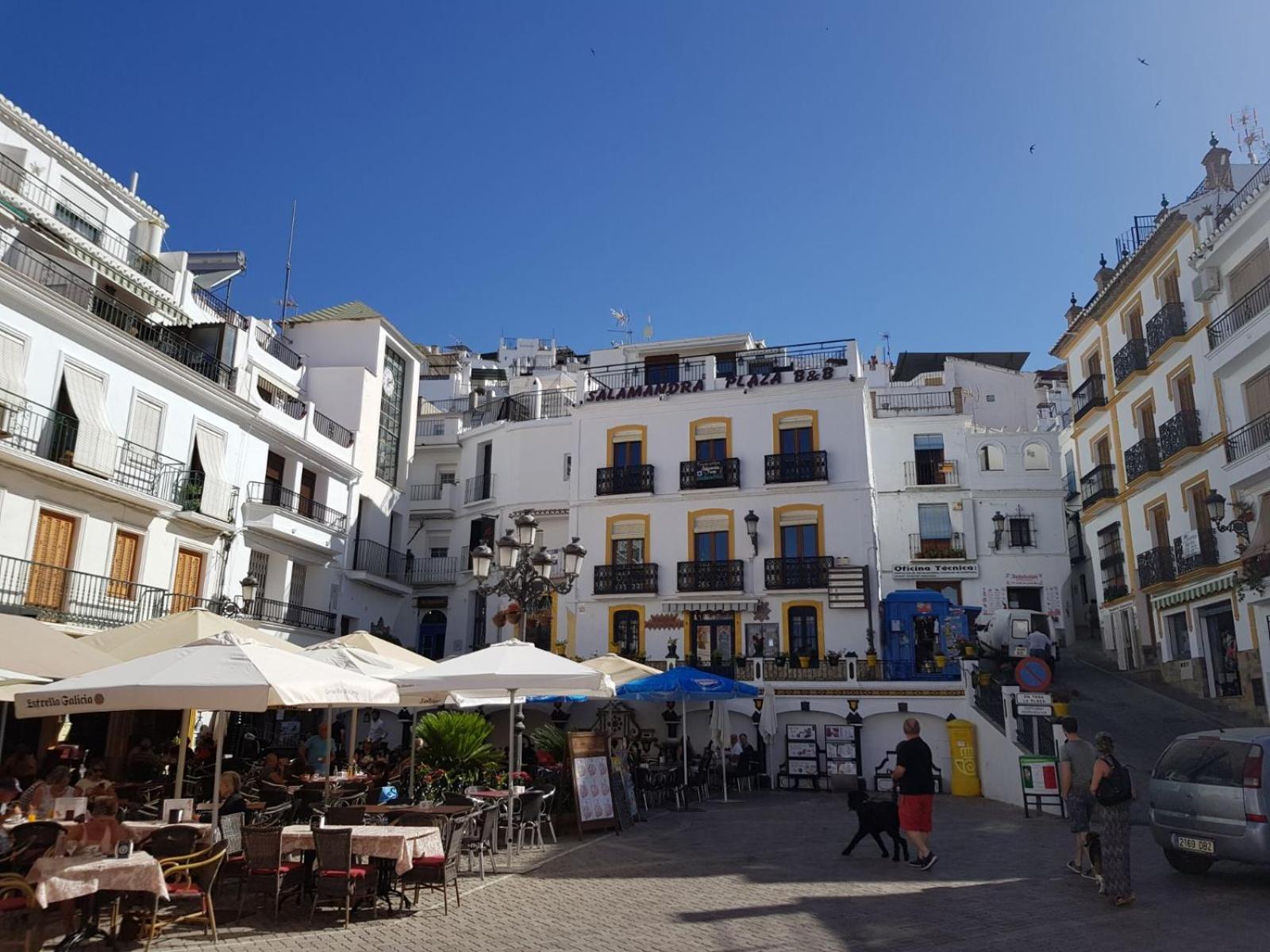 Salamandra Plaza