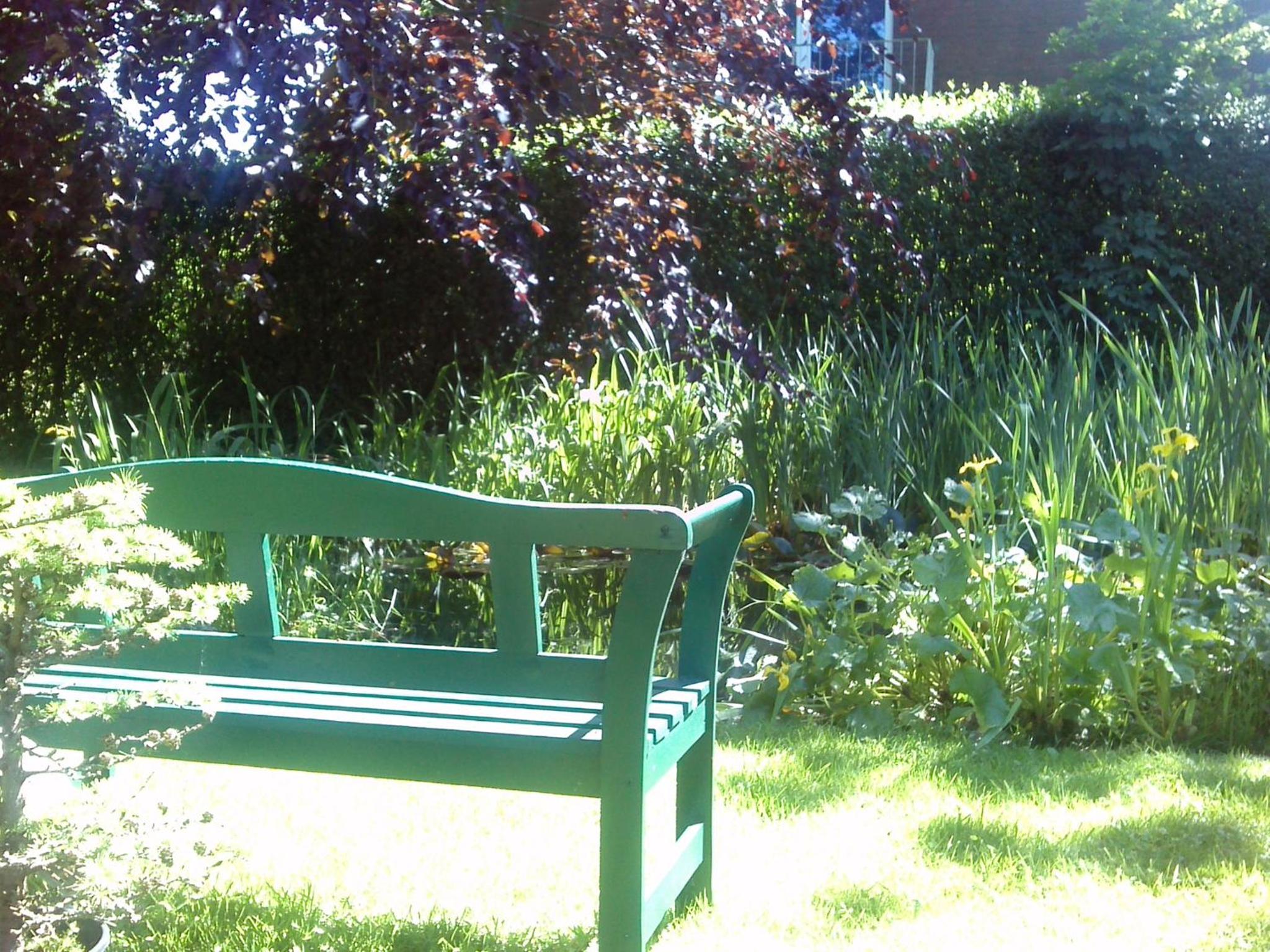 Photo 41