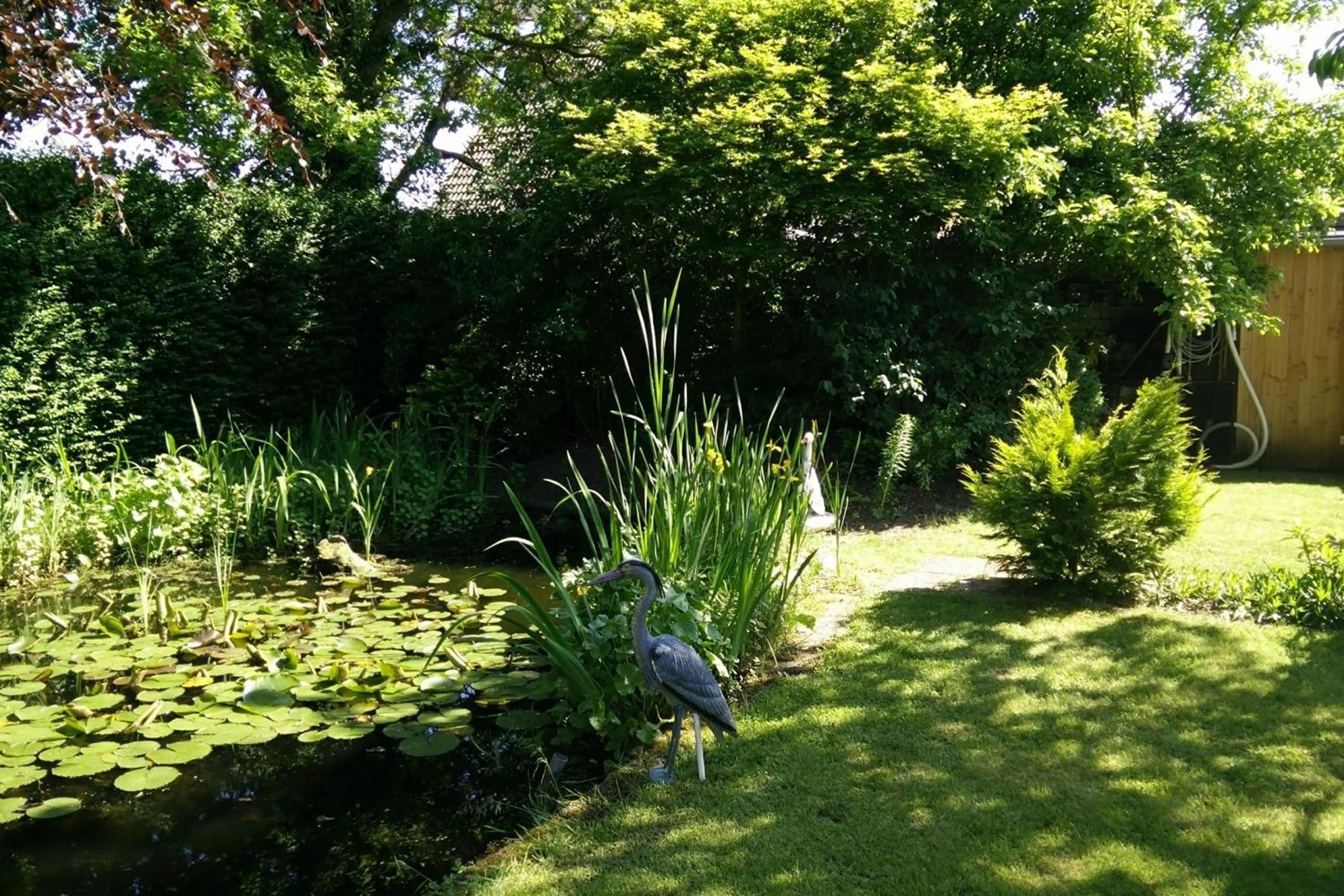 Photo 28