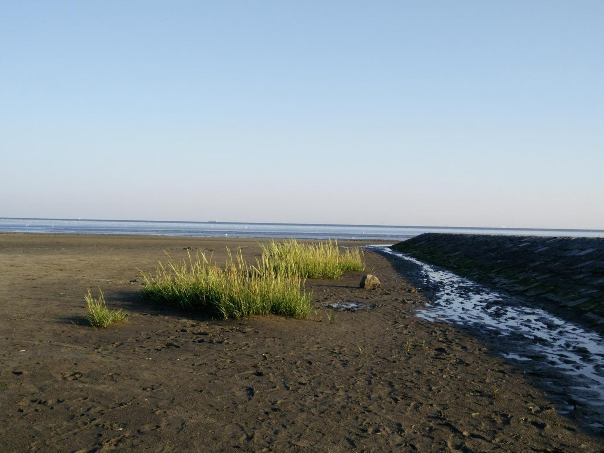 Photo 44